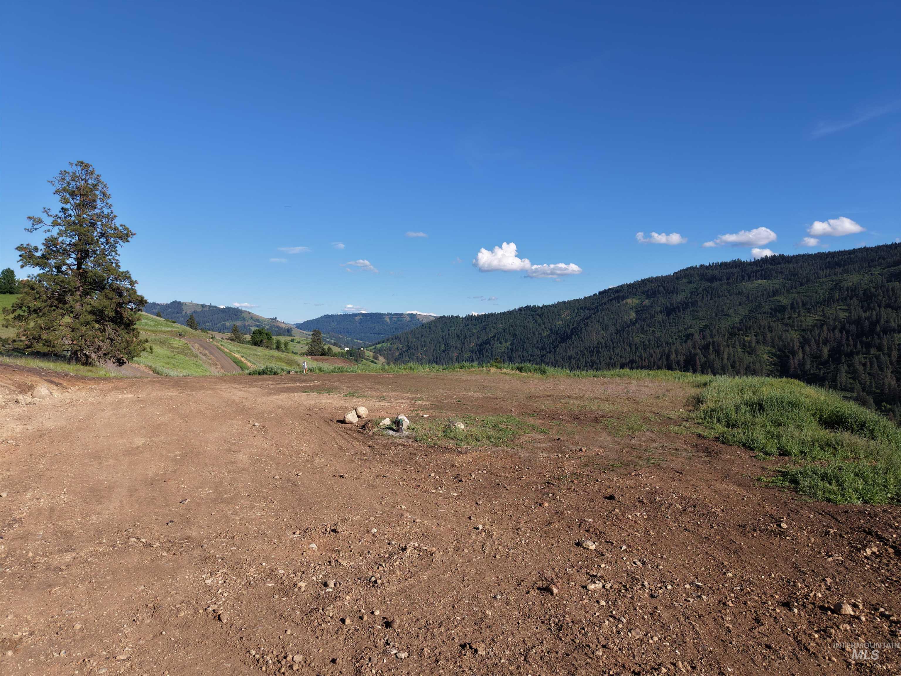 TBD Lot 5 Quiet Hills Ln, Lenore, Idaho 83541, Land For Sale, Price $290,000, 98987086