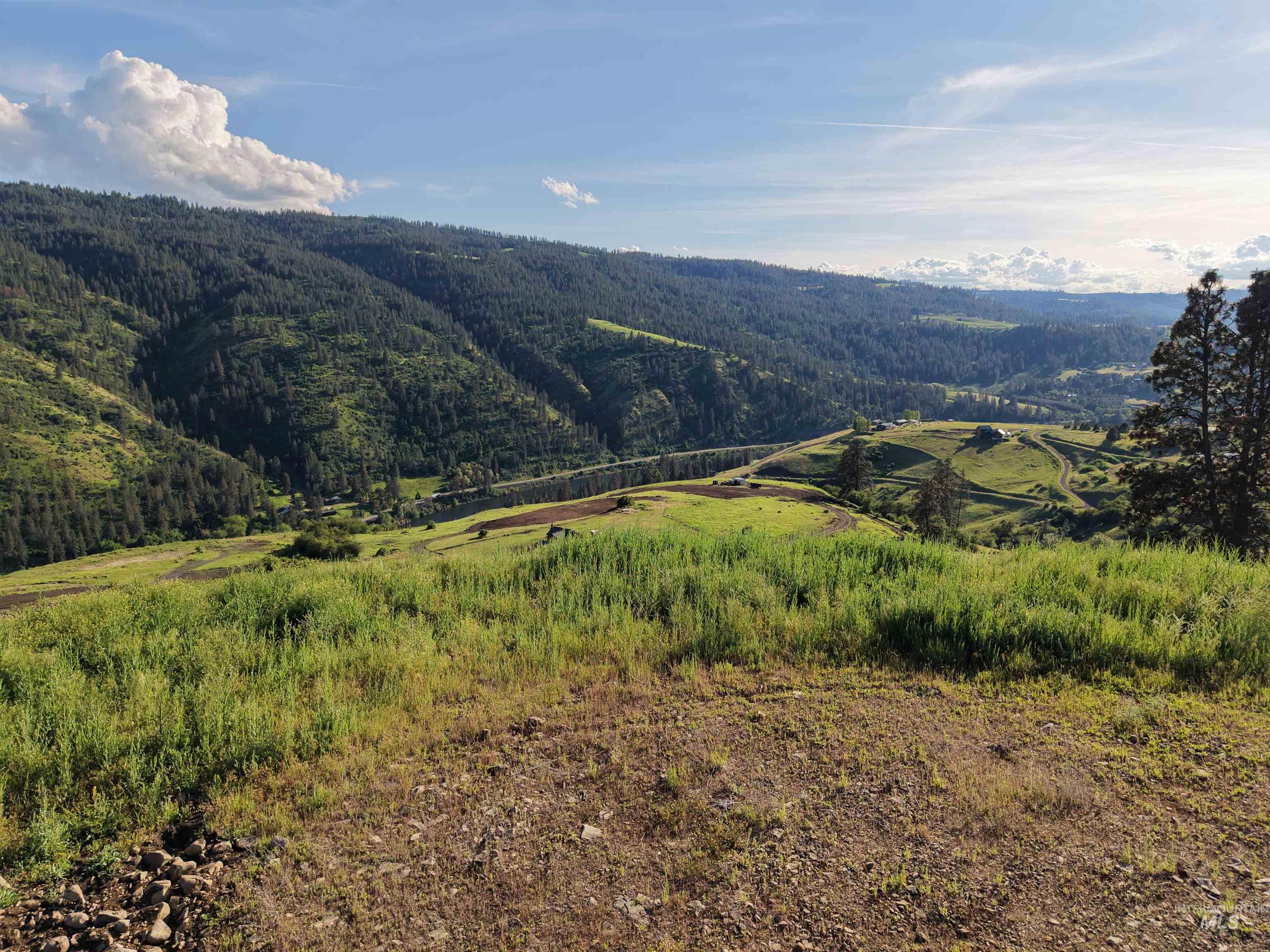 TBD Lot 5 Quiet Hills Ln, Lenore, Idaho 83541, Land For Sale, Price $290,000, 98987086