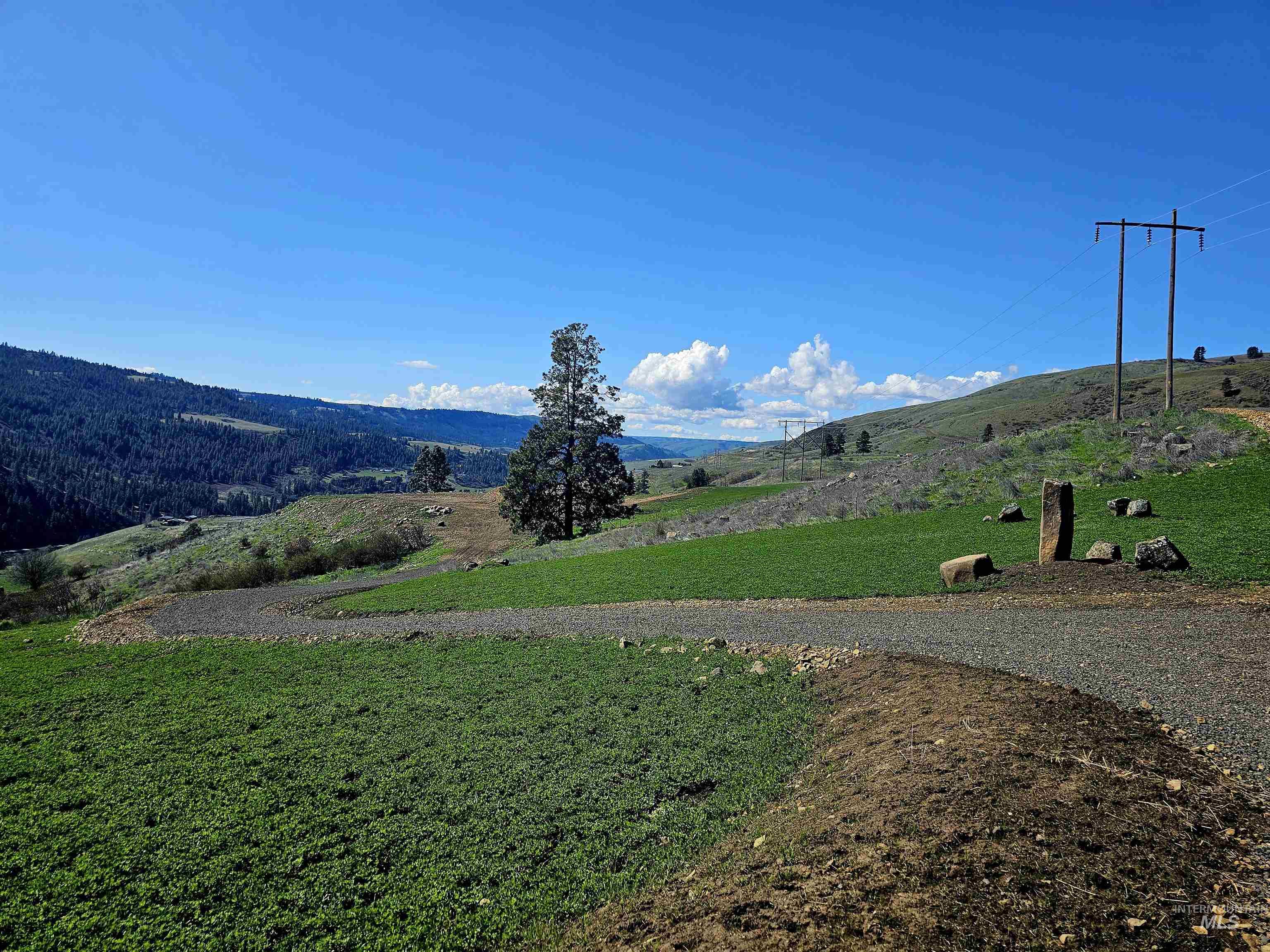 TBD Lot 5 Quiet Hills Ln, Lenore, Idaho 83541, Land For Sale, Price $290,000, 98987086