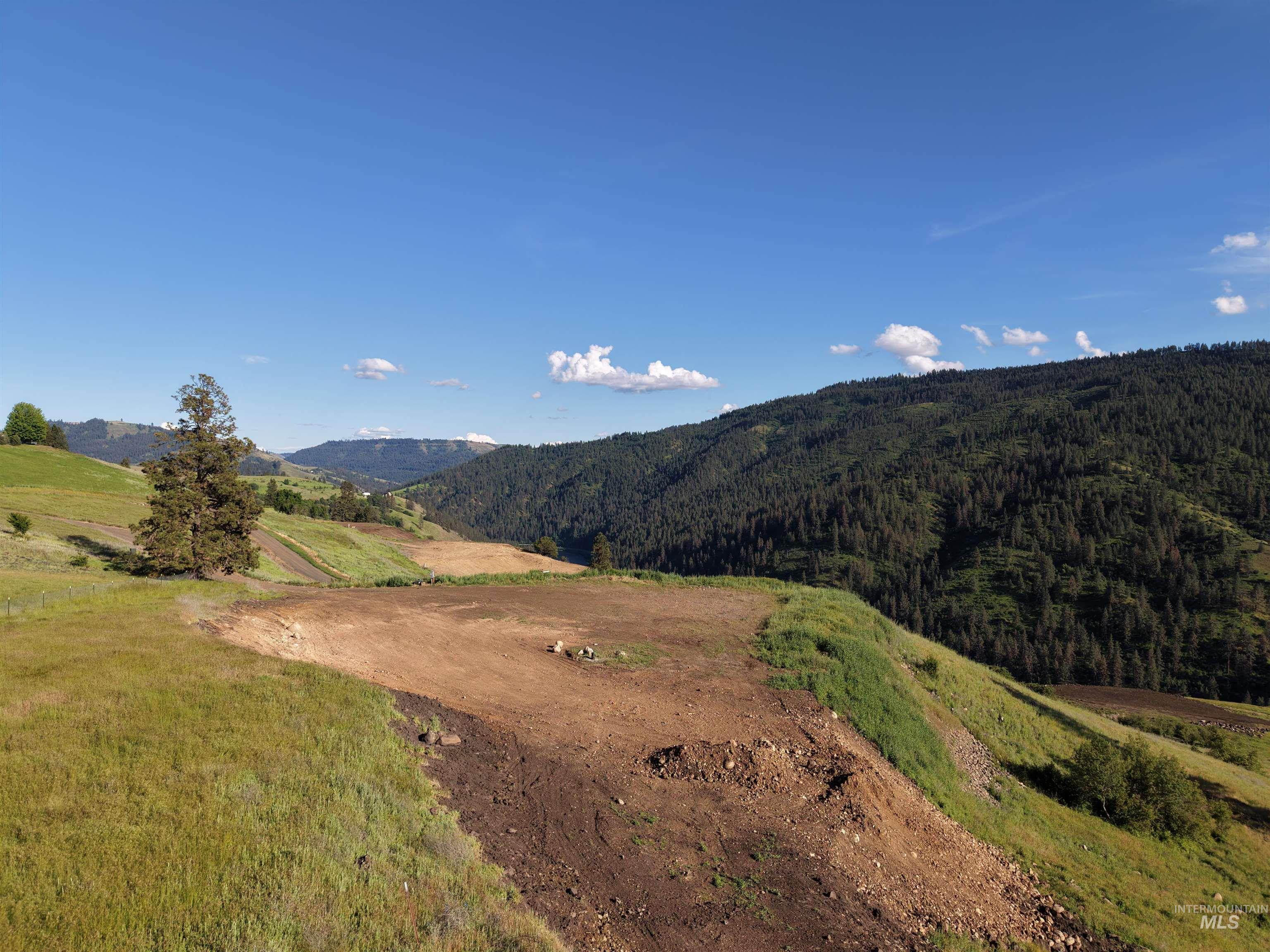 TBD Lot 5 Quiet Hills Ln, Lenore, Idaho 83541, Land For Sale, Price $290,000, 98987086