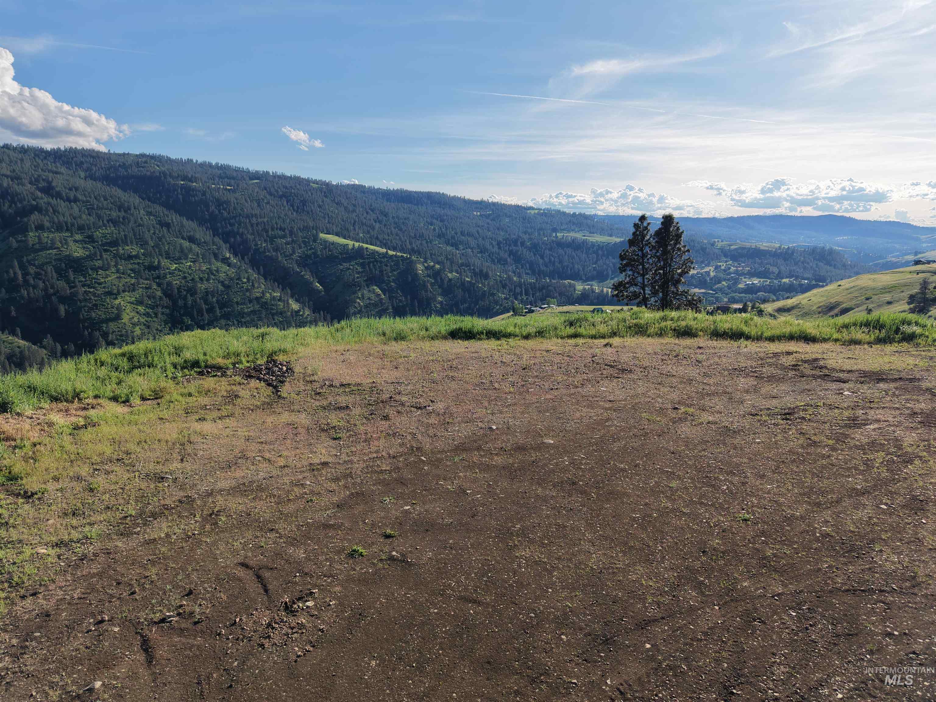 TBD Lot 5 Quiet Hills Ln, Lenore, Idaho 83541, Land For Sale, Price $290,000, 98987086