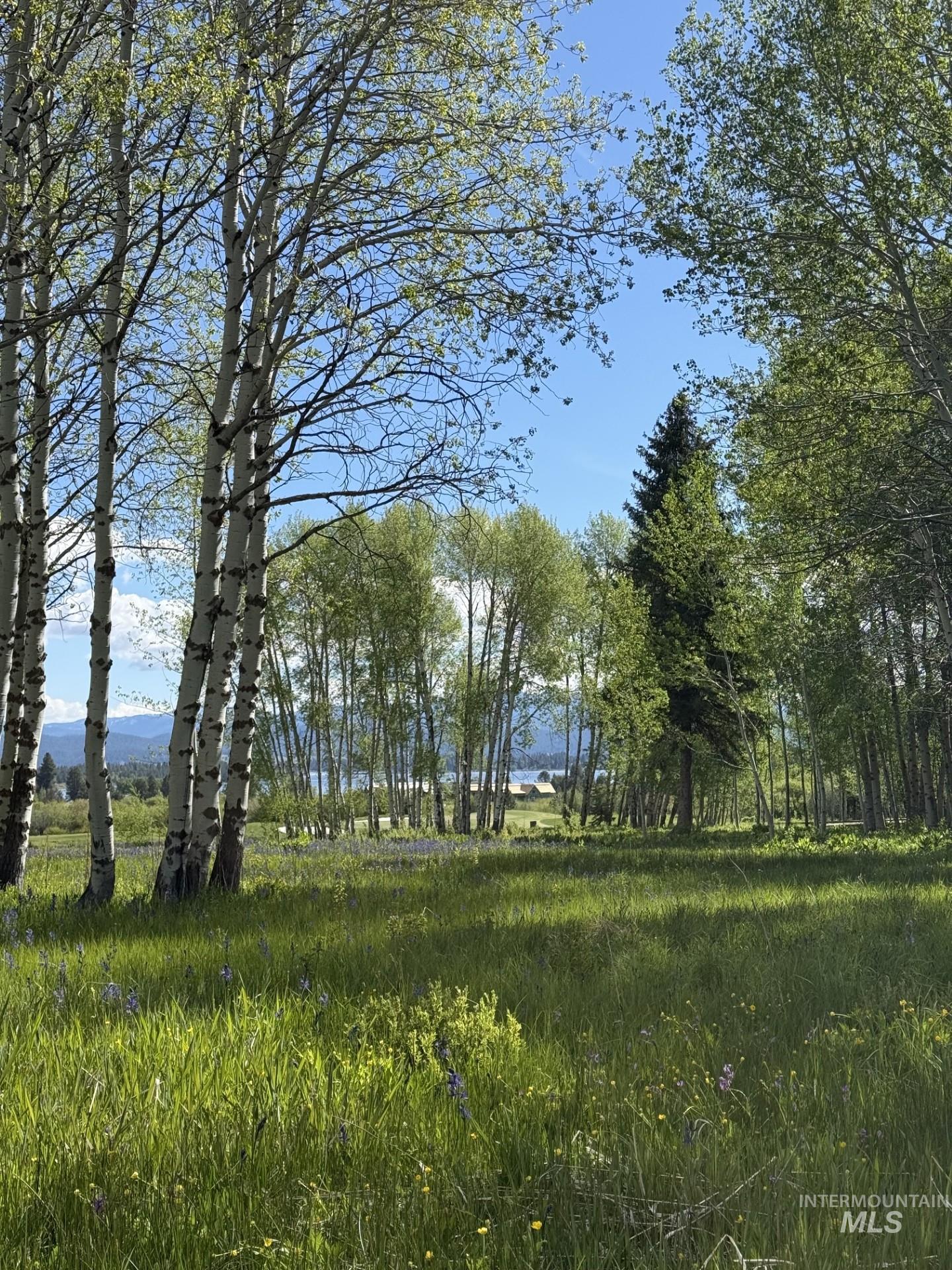 590 Discovery Dr, Donnelly, Idaho 83615-000, Land For Sale, Price $549,000, 98987097