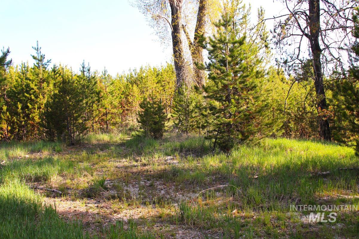7 Placer Place, Cascade, Idaho 83611, Land For Sale, Price $195,000,MLS 98987128