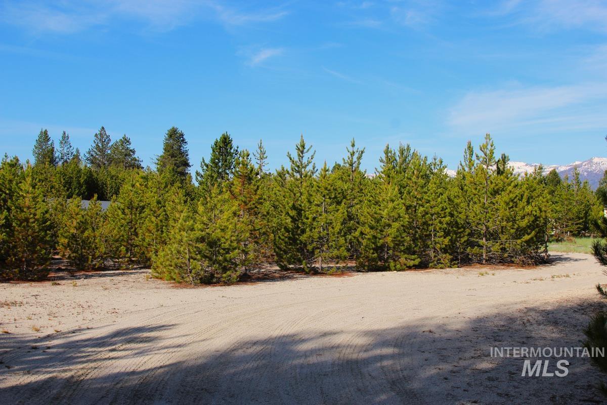 7 Placer Place, Cascade, Idaho 83611, Land For Sale, Price $195,000,MLS 98987128