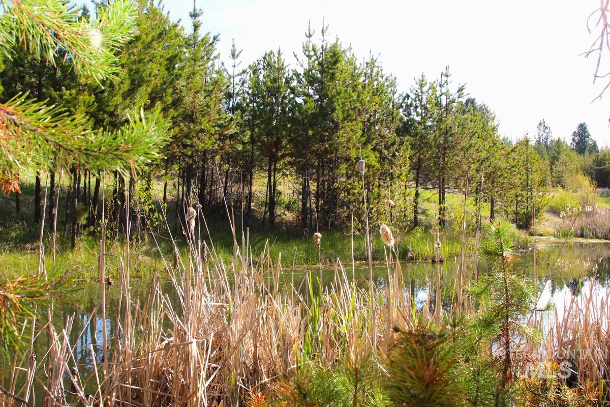 7 Placer Place, Cascade, Idaho 83611, Land For Sale, Price $195,000,MLS 98987128