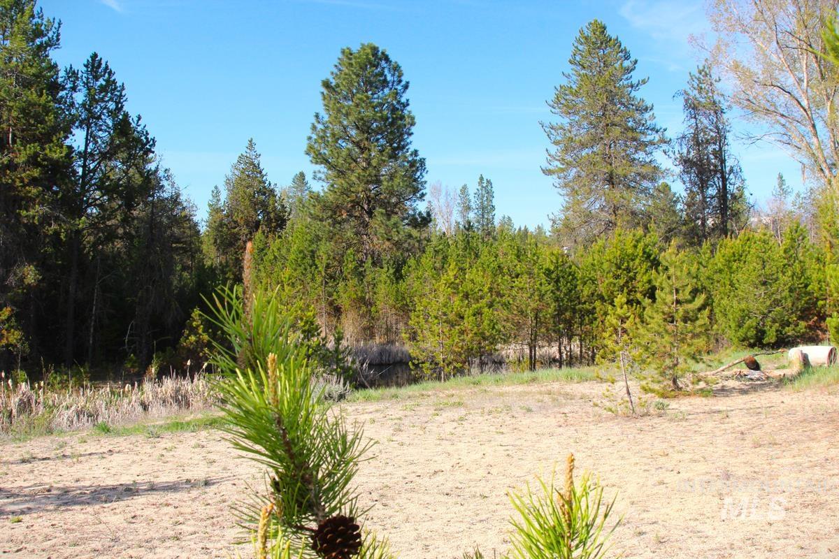 7 Placer Place, Cascade, Idaho 83611, Land For Sale, Price $195,000,MLS 98987128