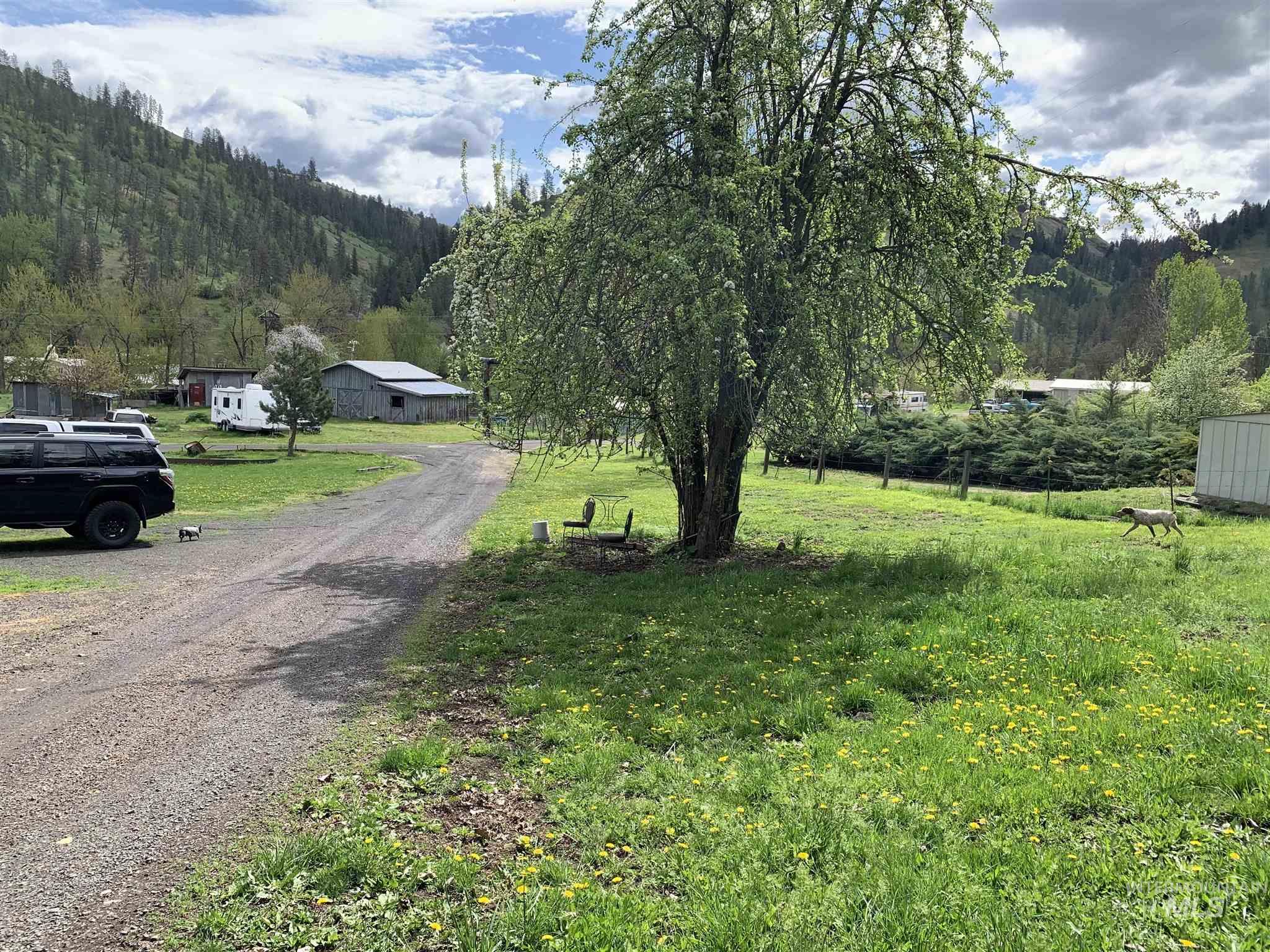 120 Three Bear Lane, Stites, Idaho 83552, 3 Bedrooms, 2 Bathrooms, Residential For Sale, Price $499,000, 98987131