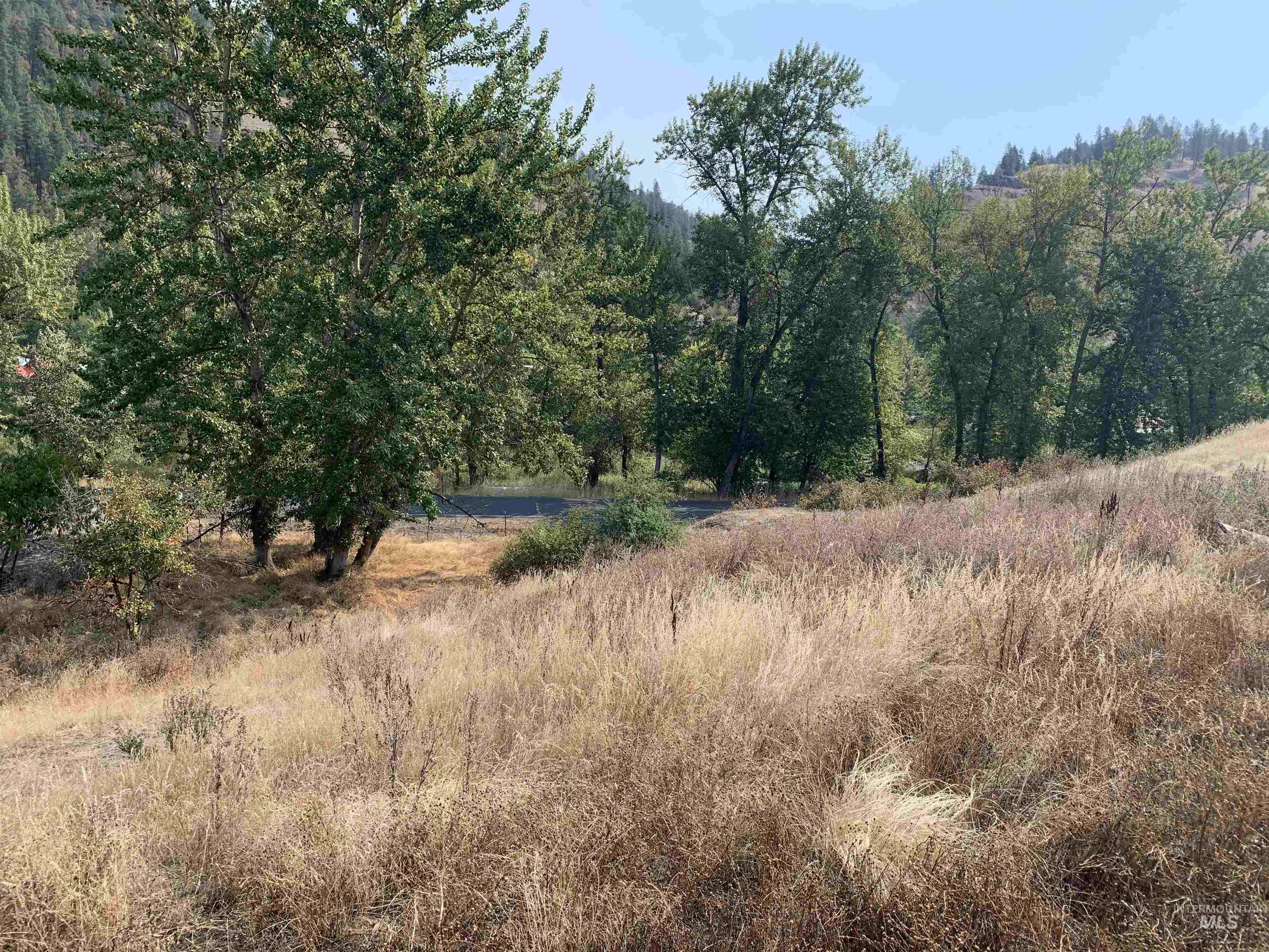 120 Three Bear Lane, Stites, Idaho 83552, 3 Bedrooms, 2 Bathrooms, Residential For Sale, Price $499,000, 98987131