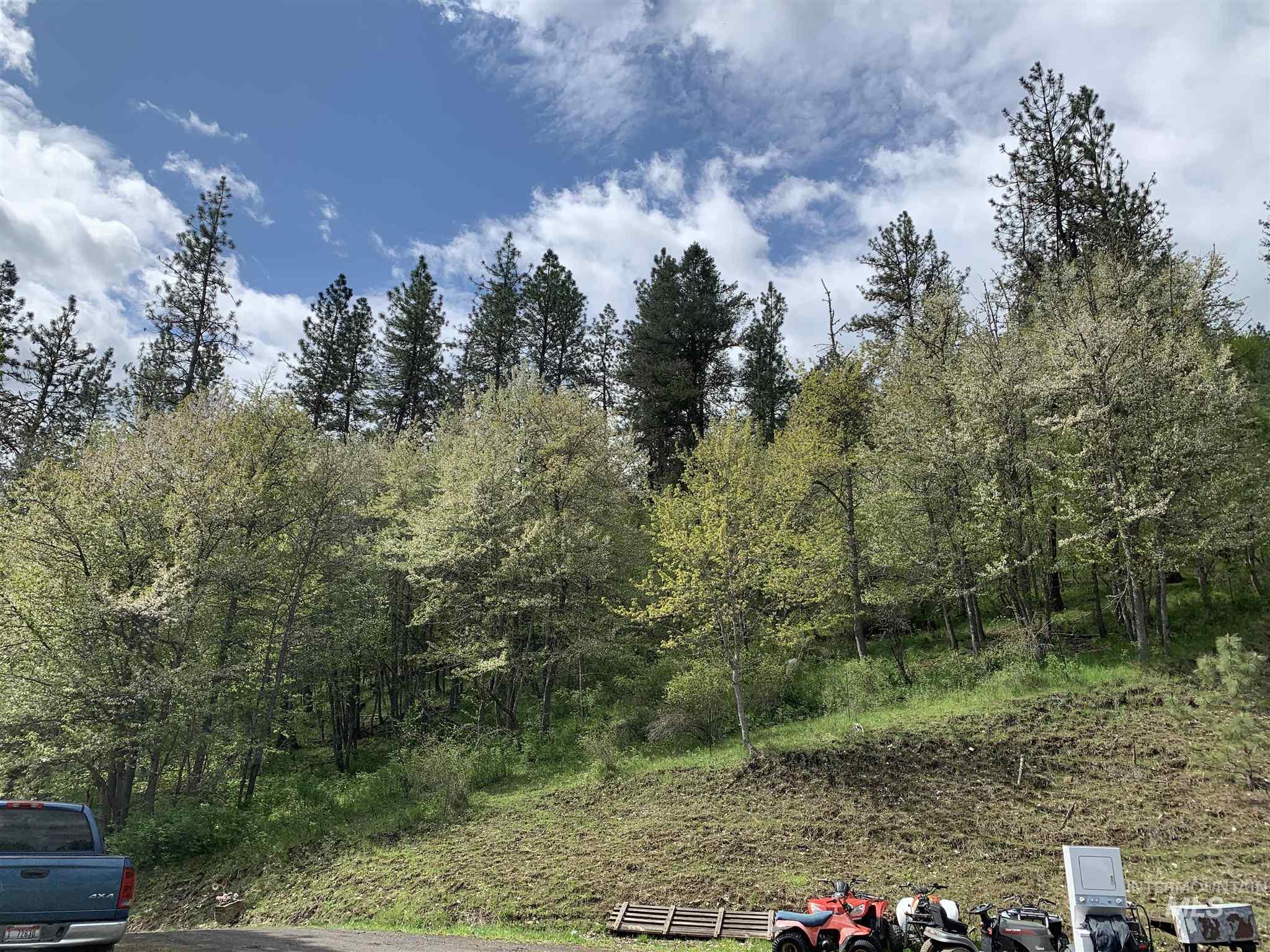120 Three Bear Lane, Stites, Idaho 83552, 3 Bedrooms, 2 Bathrooms, Residential For Sale, Price $499,000, 98987131
