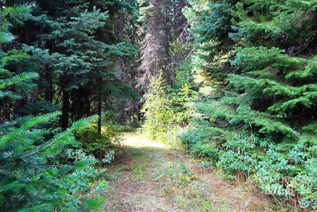 2325 West Mountain Road, Donnelly, Idaho 83615, Land For Sale, Price $229,000,MLS 98987159