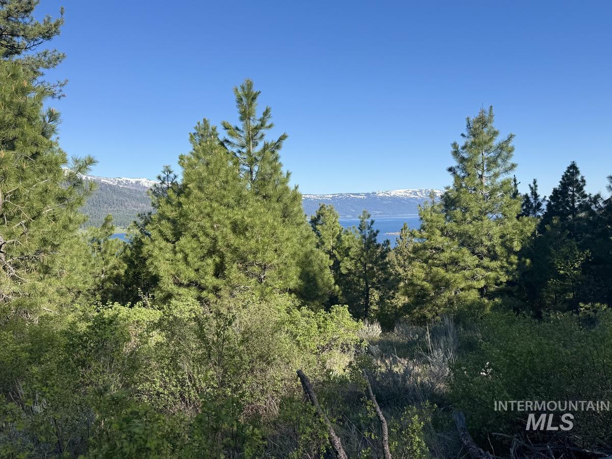 422 Collier View Road, Cascade, Idaho 83611, Land For Sale, Price $74,000, 98987205