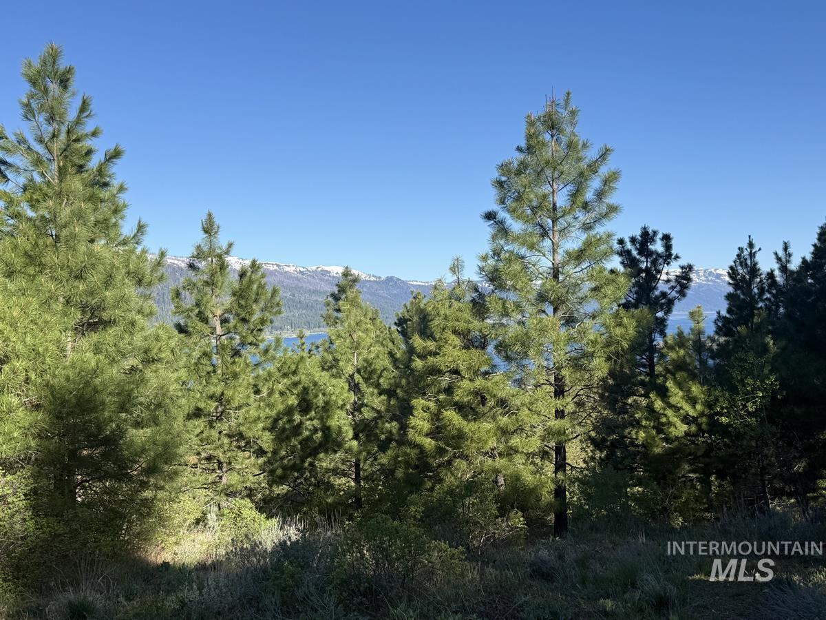 422 Collier View Road, Cascade, Idaho 83611, Land For Sale, Price $74,000, 98987205