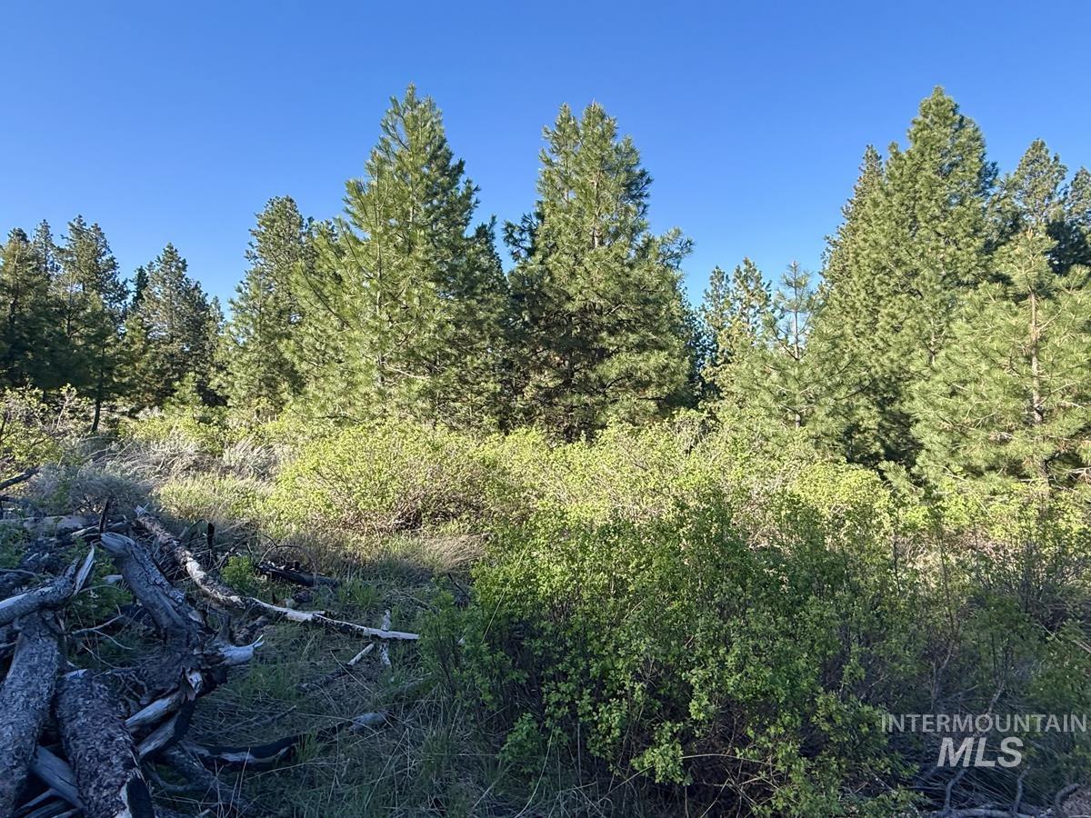 422 Collier View Road, Cascade, Idaho 83611, Land For Sale, Price $74,000, 98987205
