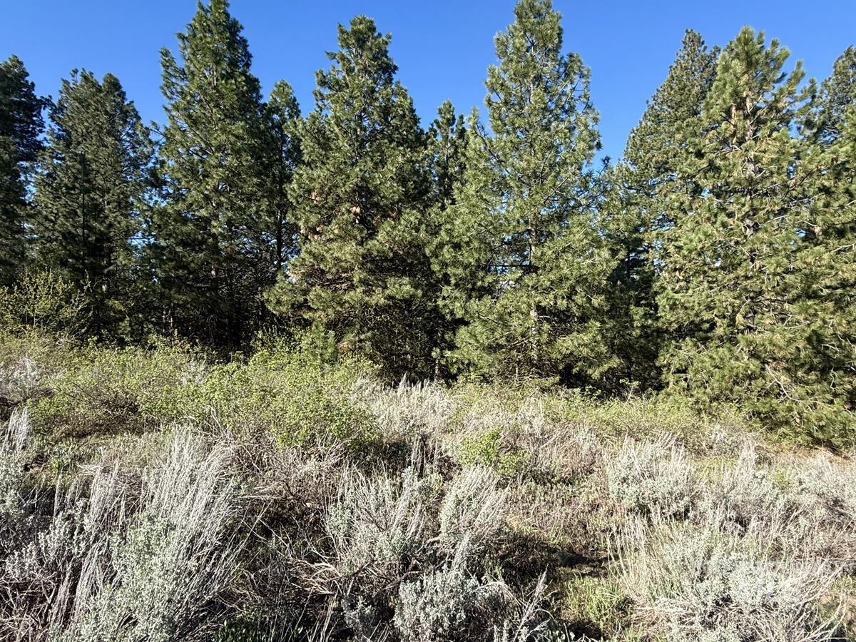 422 Collier View Road, Cascade, Idaho 83611, Land For Sale, Price $74,000, 98987205