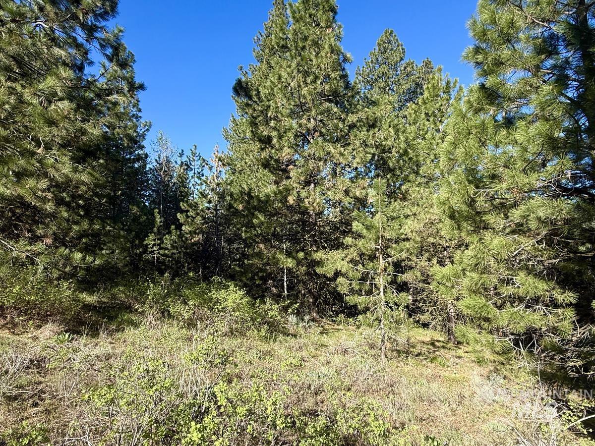 422 Collier View Road, Cascade, Idaho 83611, Land For Sale, Price $74,000, 98987205