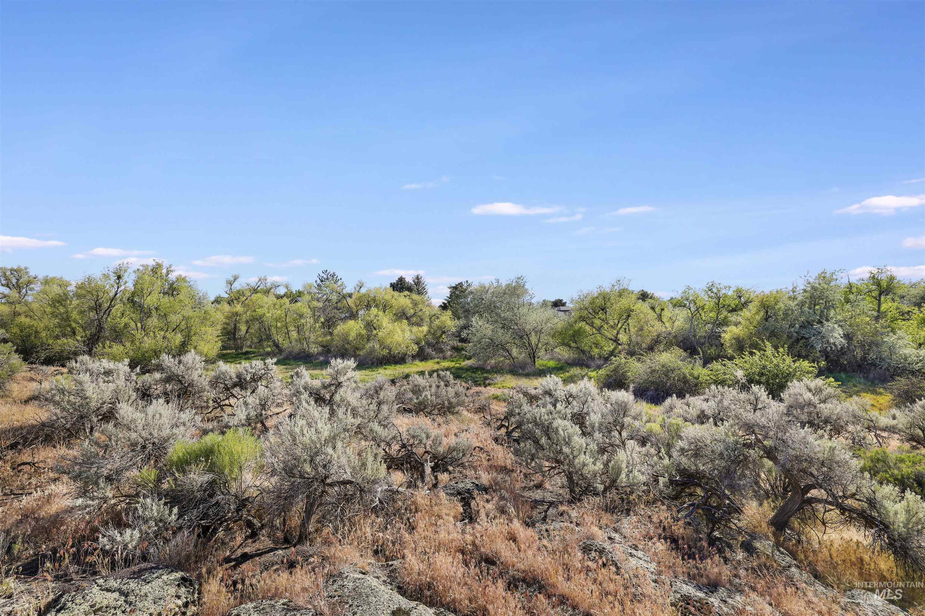TBD N Meadow Ridge Circle, Twin Falls, Idaho 83301, Land For Sale, Price $250,000, 98987211