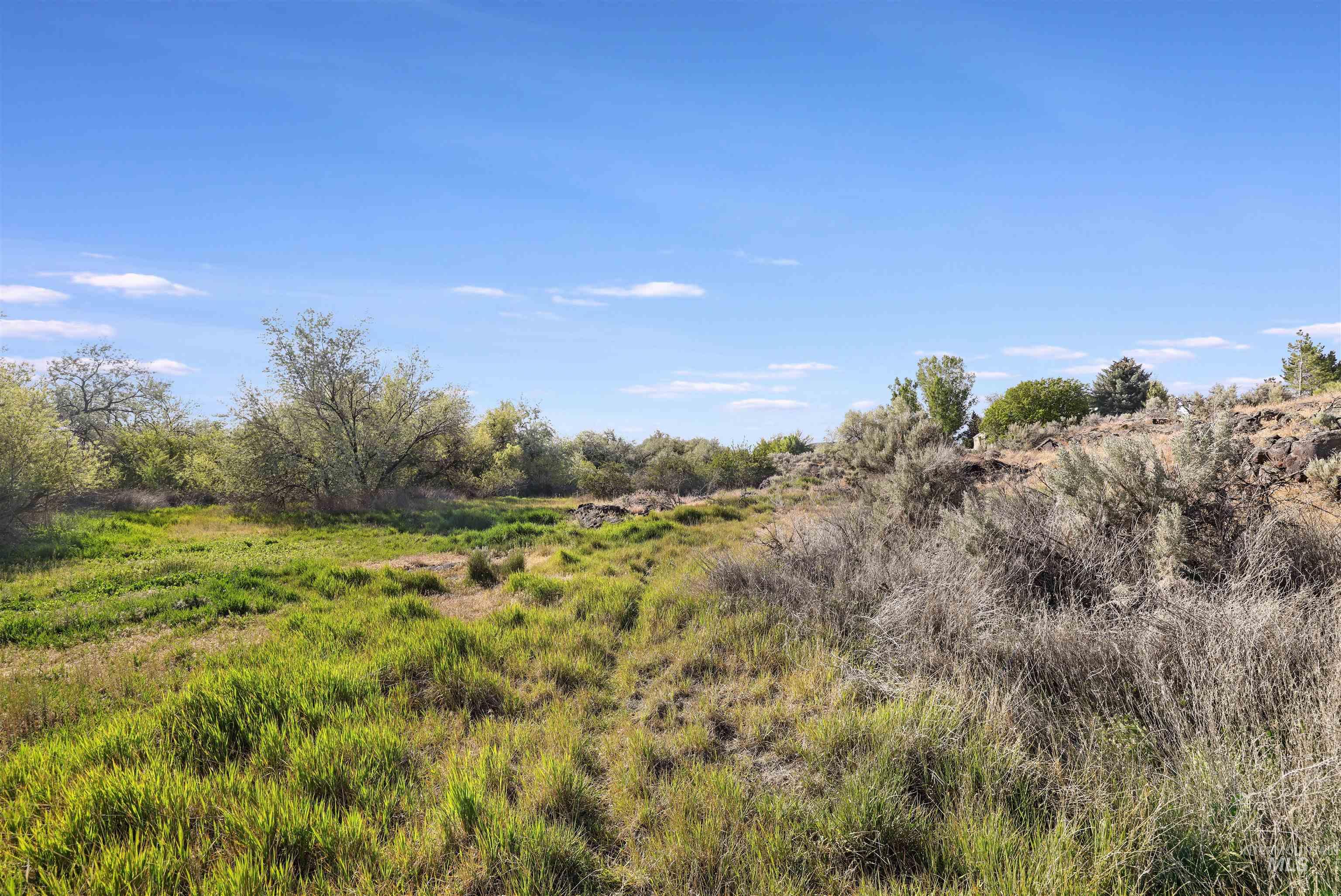TBD N Meadow Ridge Circle, Twin Falls, Idaho 83301, Land For Sale, Price $250,000, 98987211