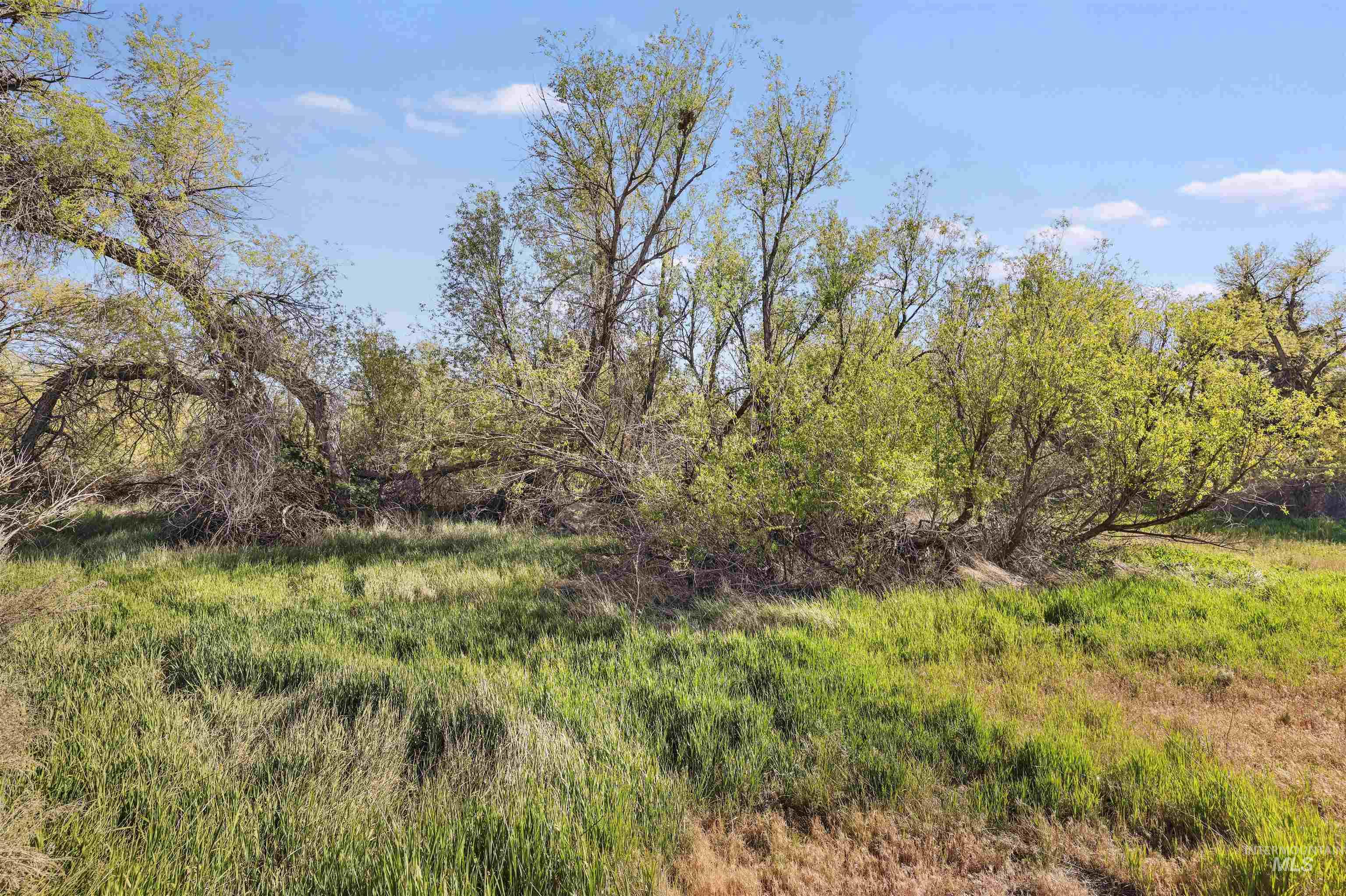 TBD N Meadow Ridge Circle, Twin Falls, Idaho 83301, Land For Sale, Price $250,000, 98987211