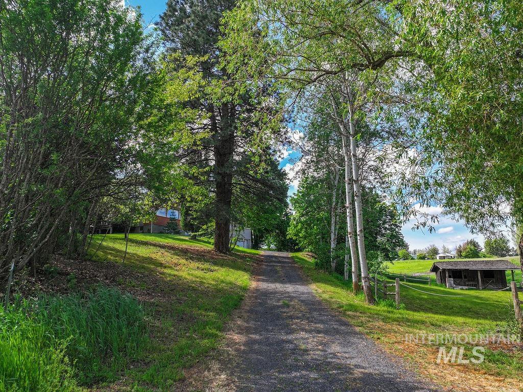 1825 Orchard Ave, Moscow, Idaho 83843, 3 Bedrooms, 2 Bathrooms, Residential For Sale, Price $572,000, 98987245