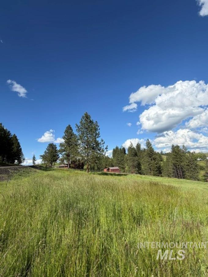 119 Beaver Hill Road, Kamiah, Idaho 83536, 3 Bedrooms, 2 Bathrooms, Residential For Sale, Price $580,000, 98987263