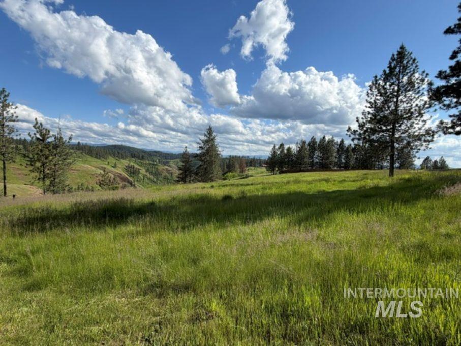 119 Beaver Hill Road, Kamiah, Idaho 83536, 3 Bedrooms, 2 Bathrooms, Residential For Sale, Price $580,000, 98987263