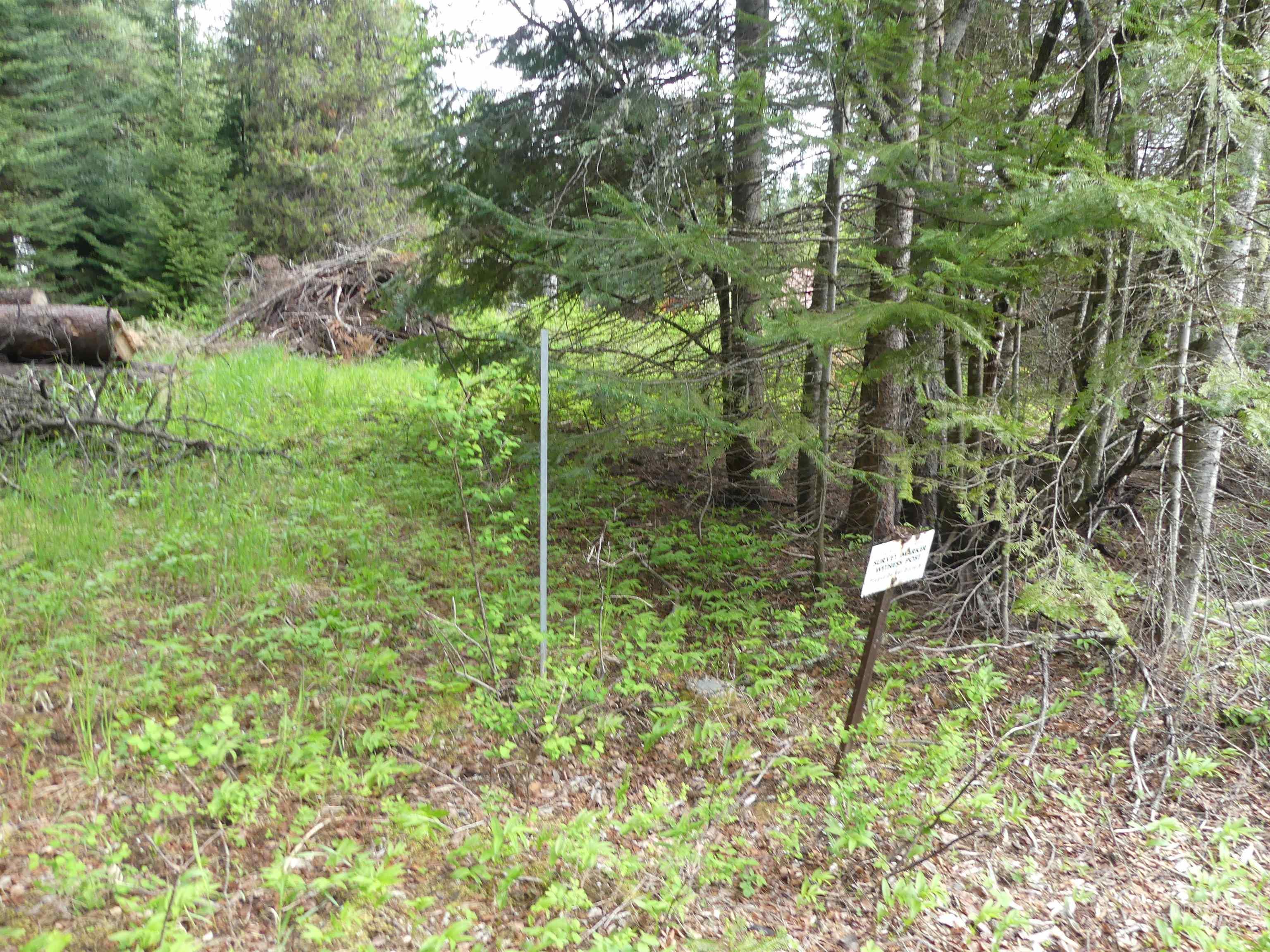 36975 Highway 11, Pierce, Idaho 83546, 4 Bedrooms, 1 Bathroom, Residential For Sale, Price $275,000, 98987316