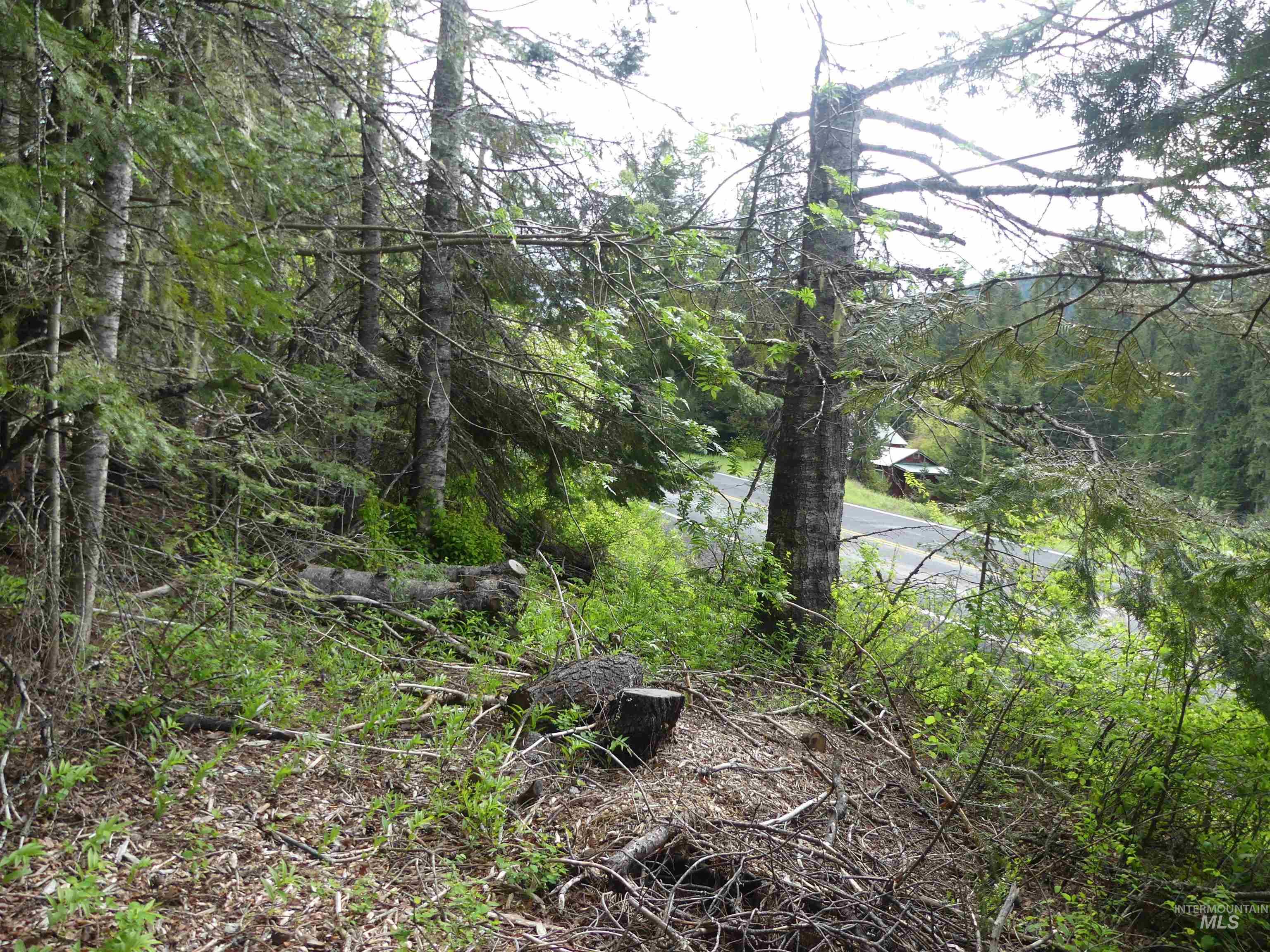 36975 Highway 11, Pierce, Idaho 83546, 4 Bedrooms, 1 Bathroom, Residential For Sale, Price $275,000, 98987316