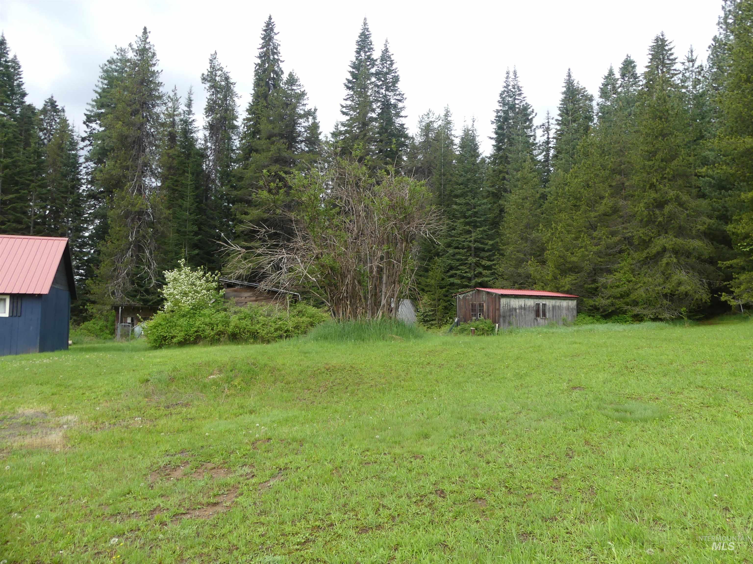 36975 Highway 11, Pierce, Idaho 83546, 4 Bedrooms, 1 Bathroom, Residential For Sale, Price $275,000, 98987316