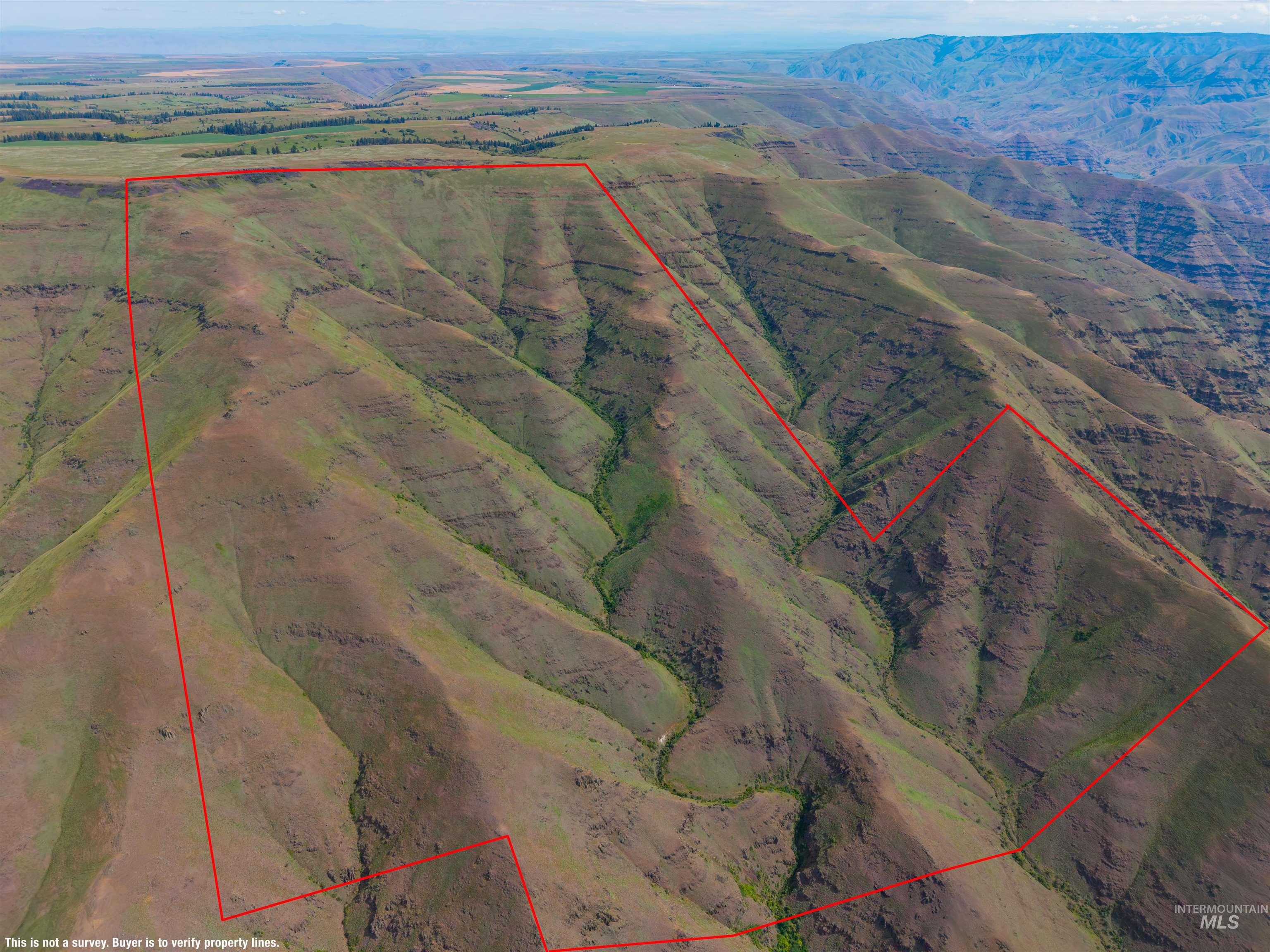 NKA Montgomery Ridge Road, Asotin, Washington 99402, Land For Sale, Price $528,000, 98987354