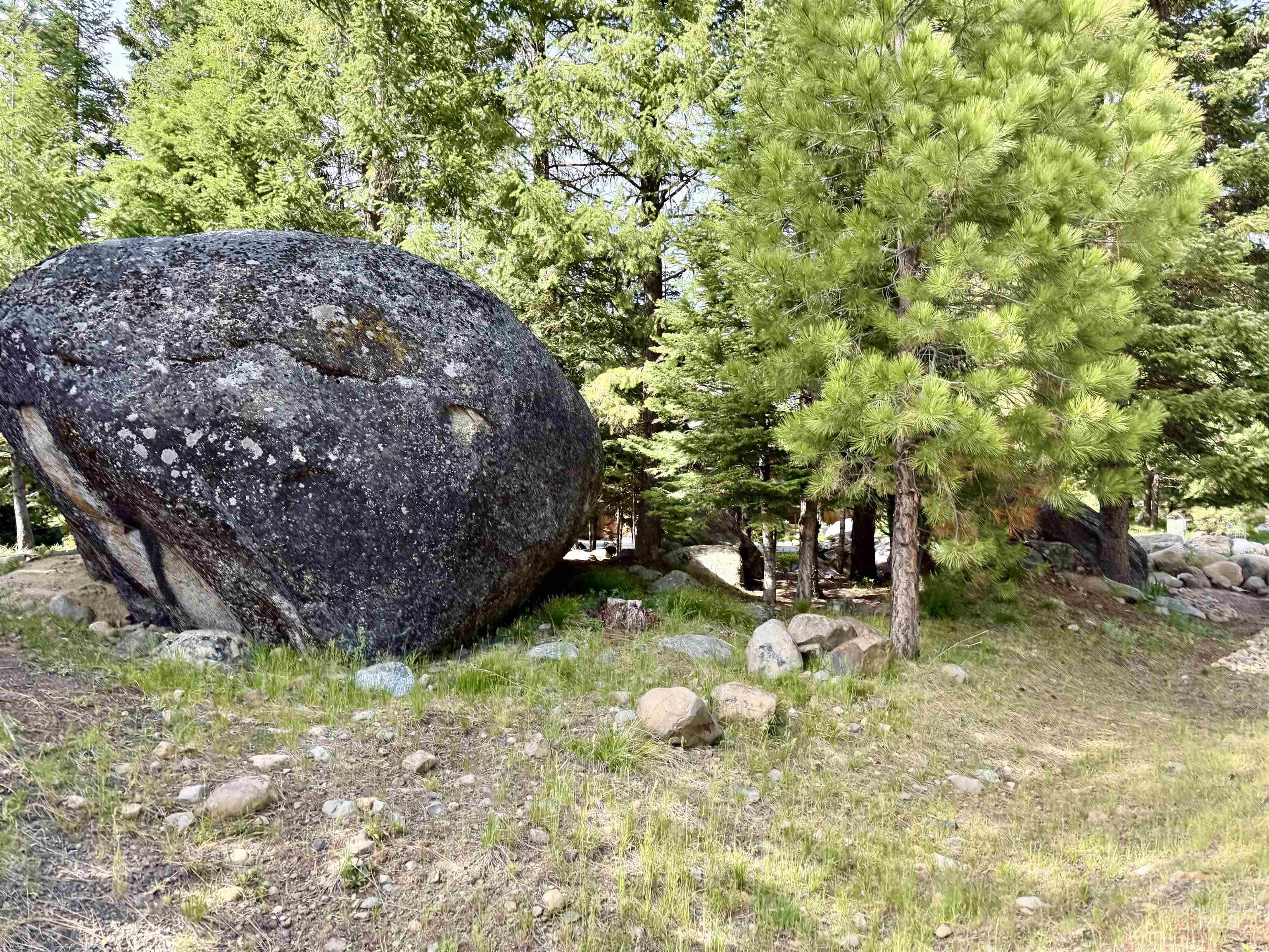 1505 Majestic View Dr., McCall, Idaho 83636-8, 4 Bedrooms, 3 Bathrooms, Residential For Sale, Price $1,567,000, 98987410