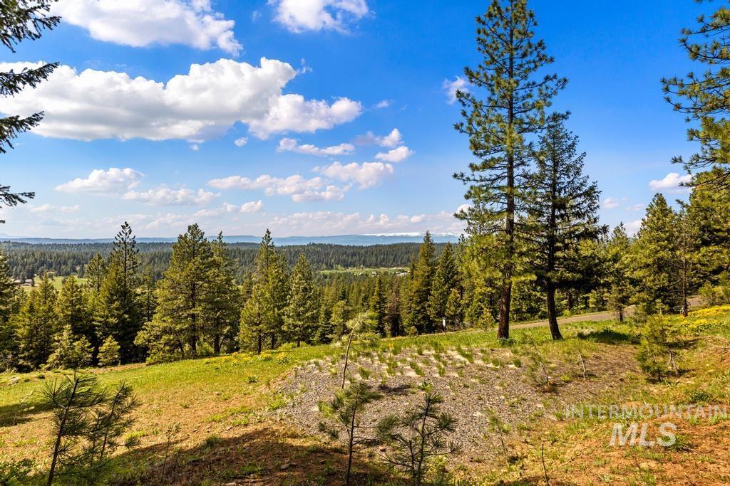 L14 Harrington Place, McCall, Idaho 83638, Land For Sale, Price $250,000, 98987426