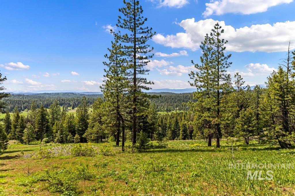 L14 Harrington Place, McCall, Idaho 83638, Land For Sale, Price $250,000, 98987426