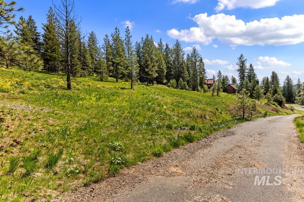 L14 Harrington Place, McCall, Idaho 83638, Land For Sale, Price $250,000, 98987426