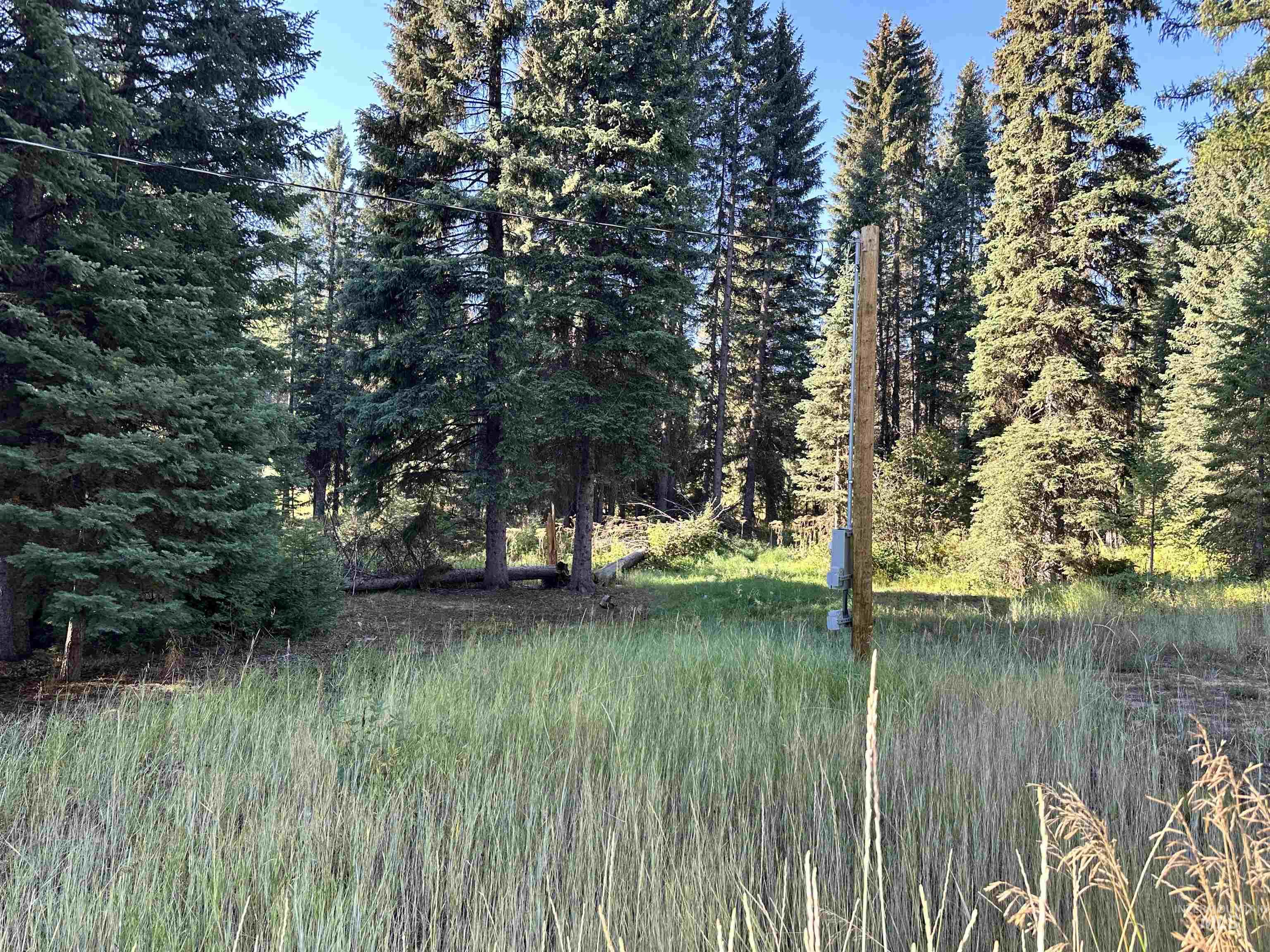 15 Andy Lane, Donnelly, Idaho 83615, Land For Sale, Price $227,000,MLS 98987456