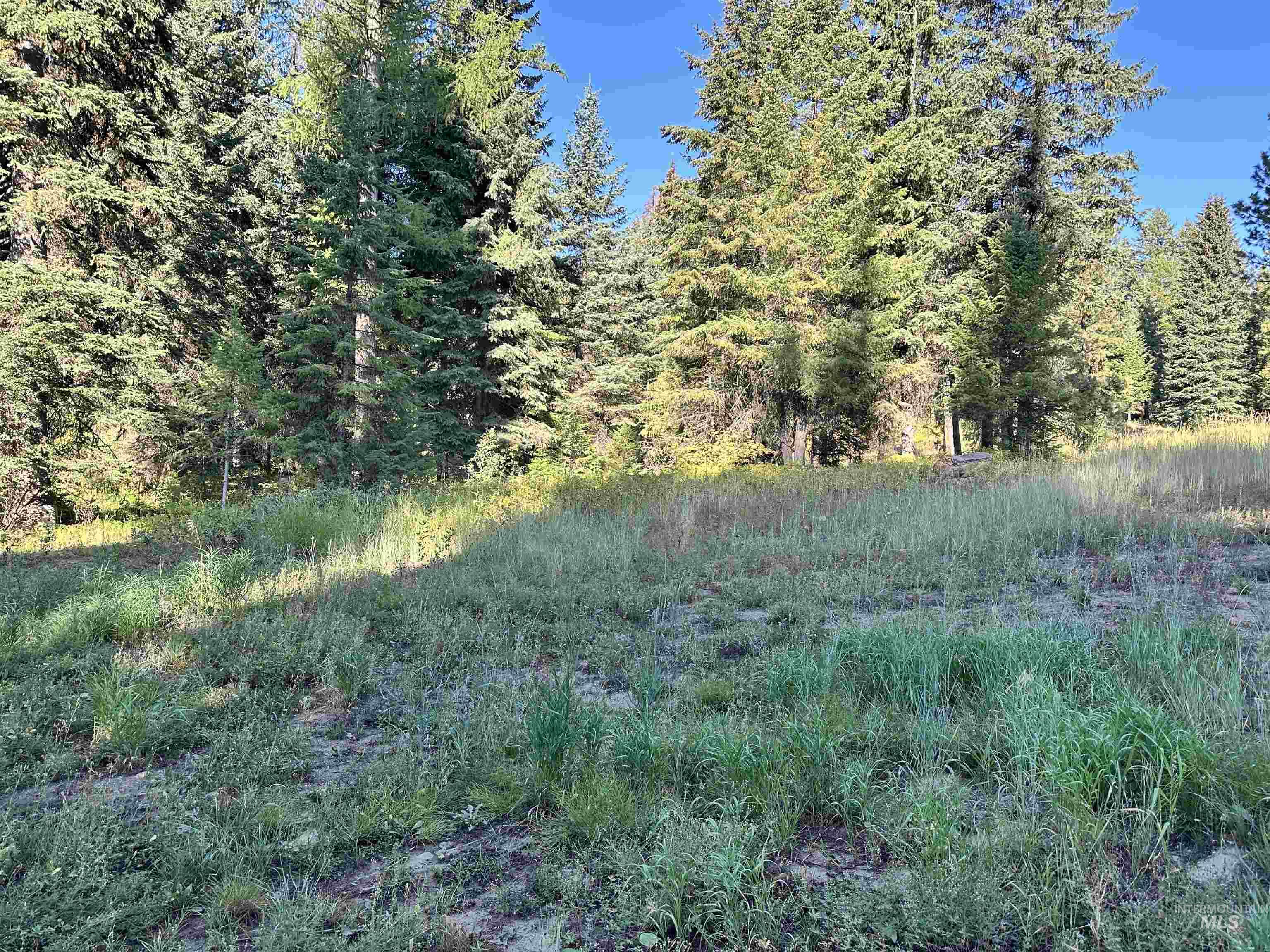 17 Andy Lane, Donnelly, Idaho 83615, Land For Sale, Price $220,000,MLS 98987460