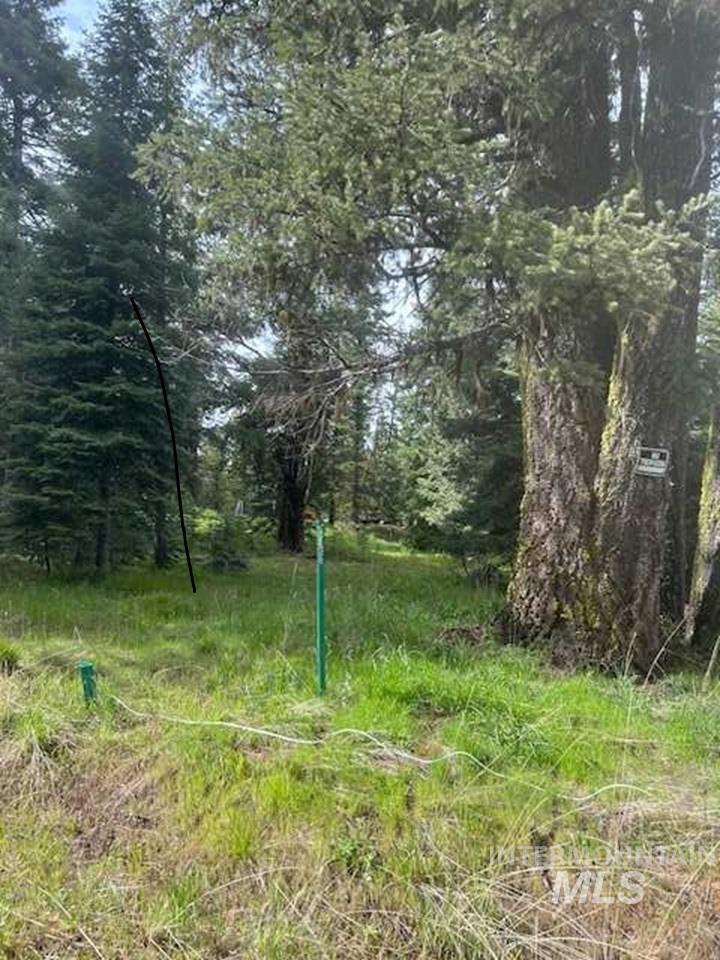 17 Andy Lane, Donnelly, Idaho 83615, Land For Sale, Price $220,000,MLS 98987460