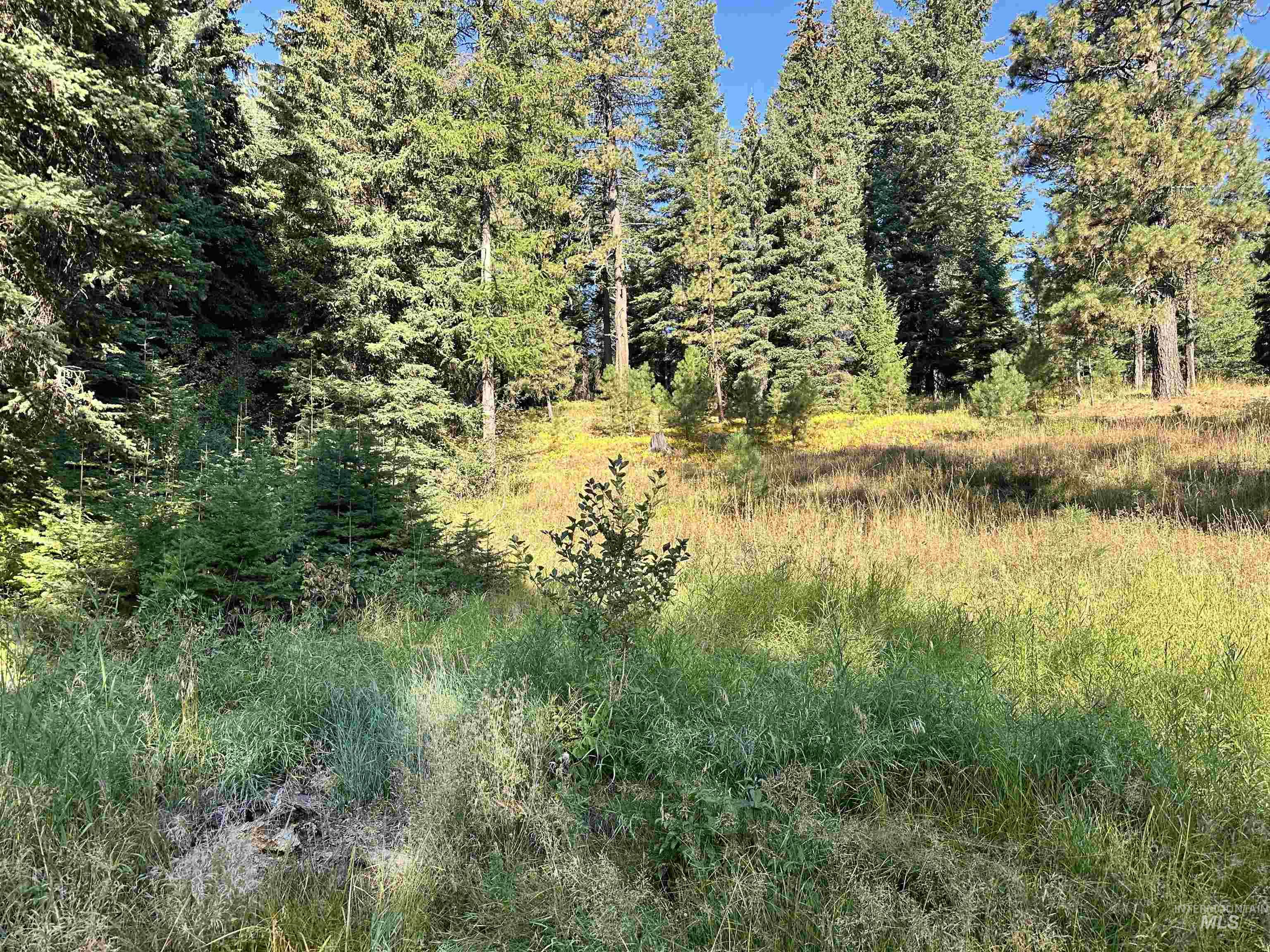 2195 Davy Road, Donnelly, Idaho 83615, Land For Sale, Price $204,000,MLS 98987469