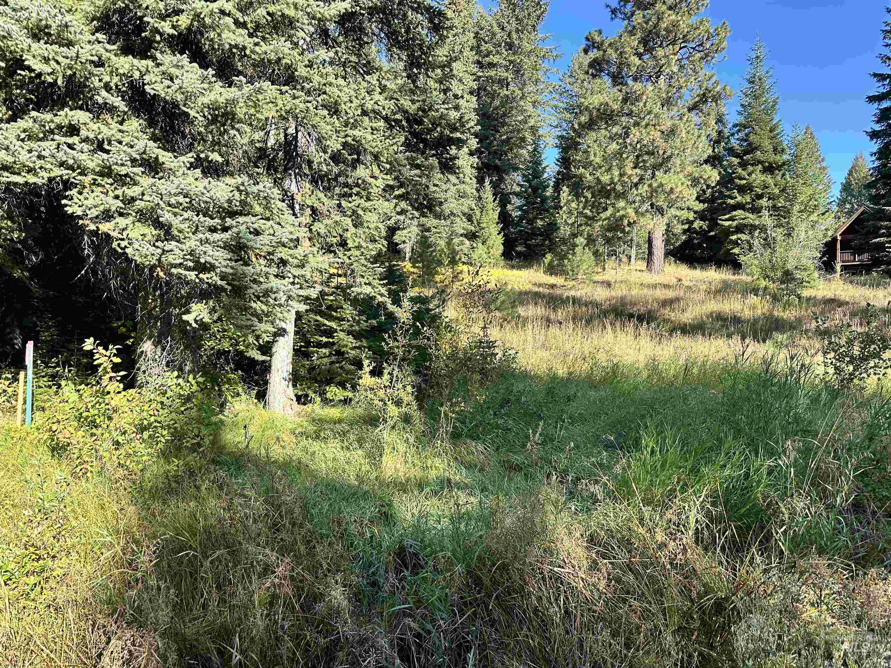 2195 Davy Road, Donnelly, Idaho 83615, Land For Sale, Price $204,000,MLS 98987469