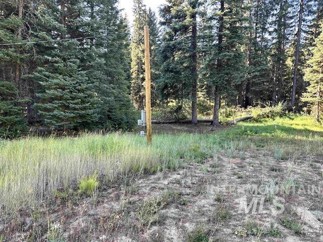 2195 Davy Road, Donnelly, Idaho 83615, Land For Sale, Price $204,000,MLS 98987469