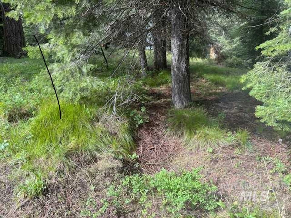 2195 Davy Road, Donnelly, Idaho 83615, Land For Sale, Price $204,000,MLS 98987469