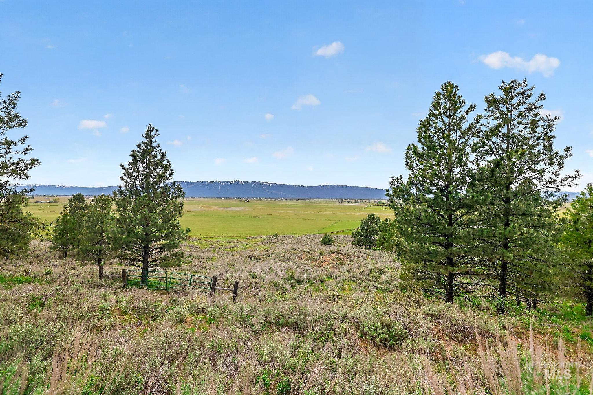 13301 Finlandia, McCall, Idaho 83638, Land For Sale, Price $349,900,MLS 98987499