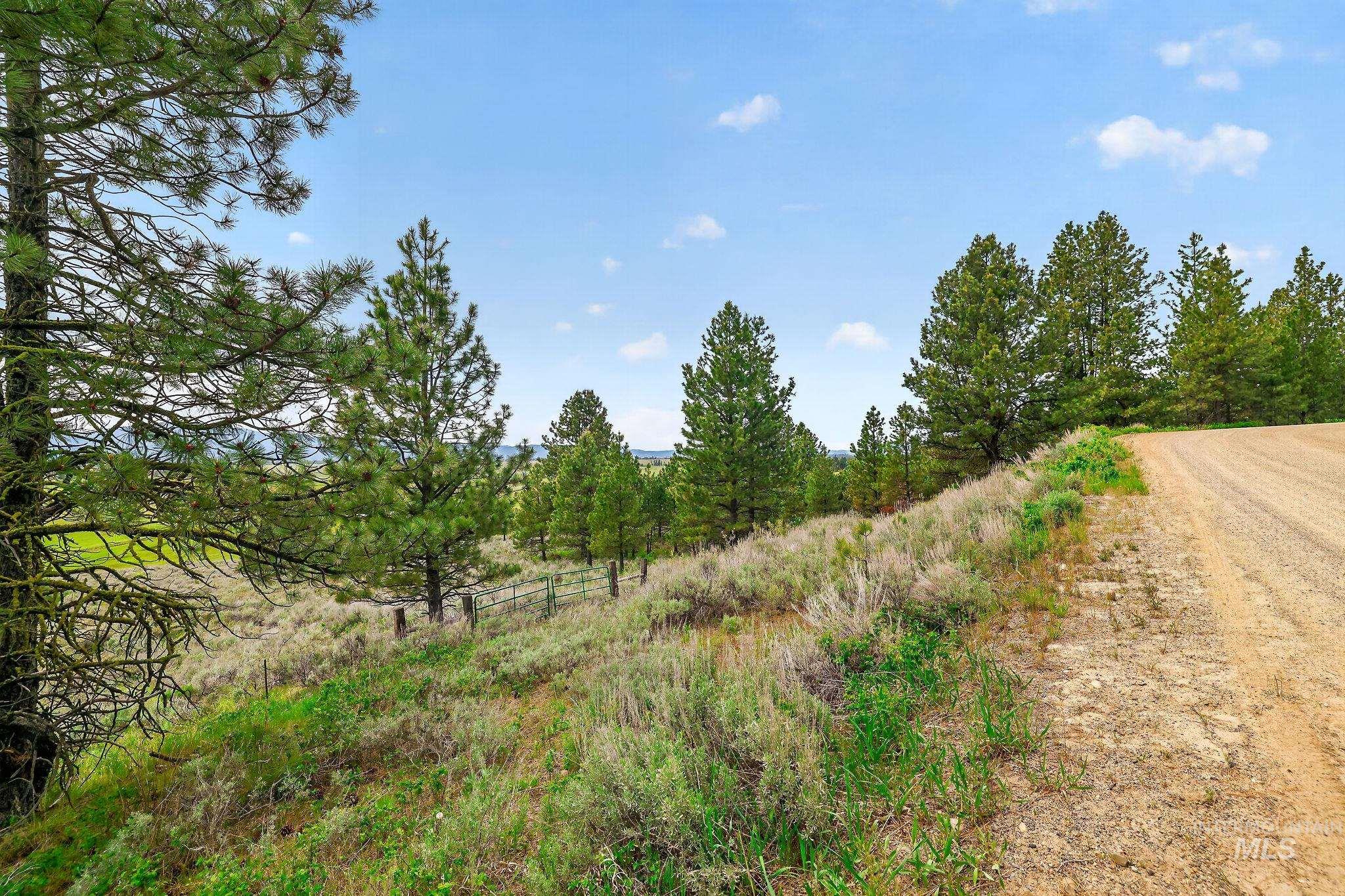 13301 Finlandia, McCall, Idaho 83638, Land For Sale, Price $349,900,MLS 98987499