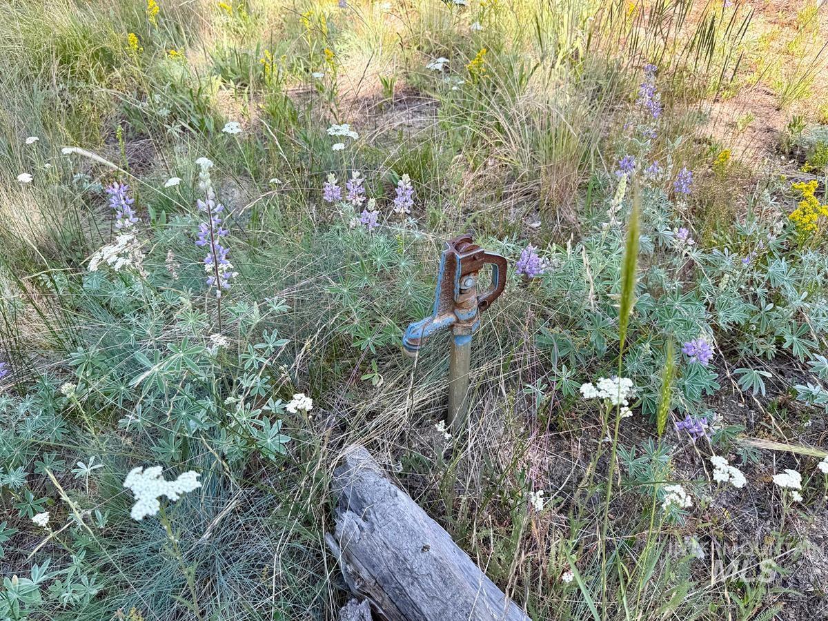 12989 Patty Drive, Donnelly, Idaho 83615, Land For Sale, Price $610,000, 98987518