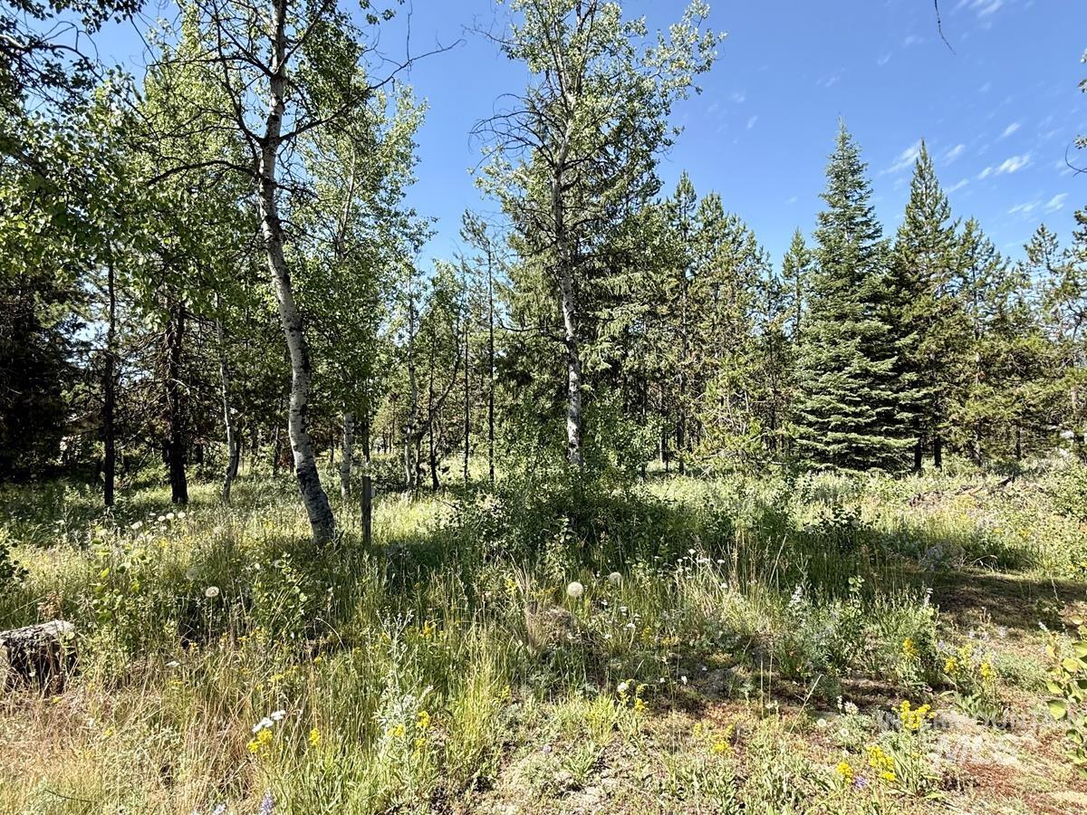 12989 Patty Drive, Donnelly, Idaho 83615, Land For Sale, Price $610,000, 98987518