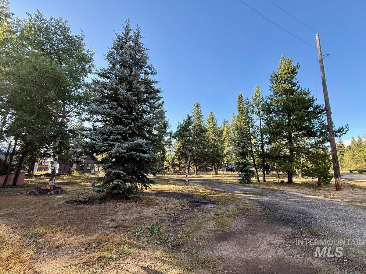 12989 Patty Drive, Donnelly, Idaho 83615, Land For Sale, Price $610,000, 98987518