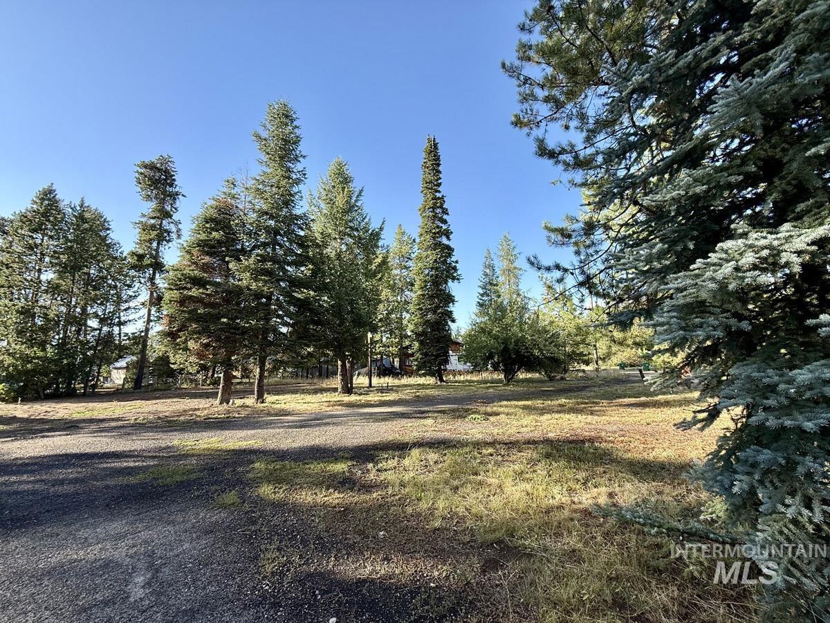 12989 Patty Drive, Donnelly, Idaho 83615, Land For Sale, Price $610,000, 98987518