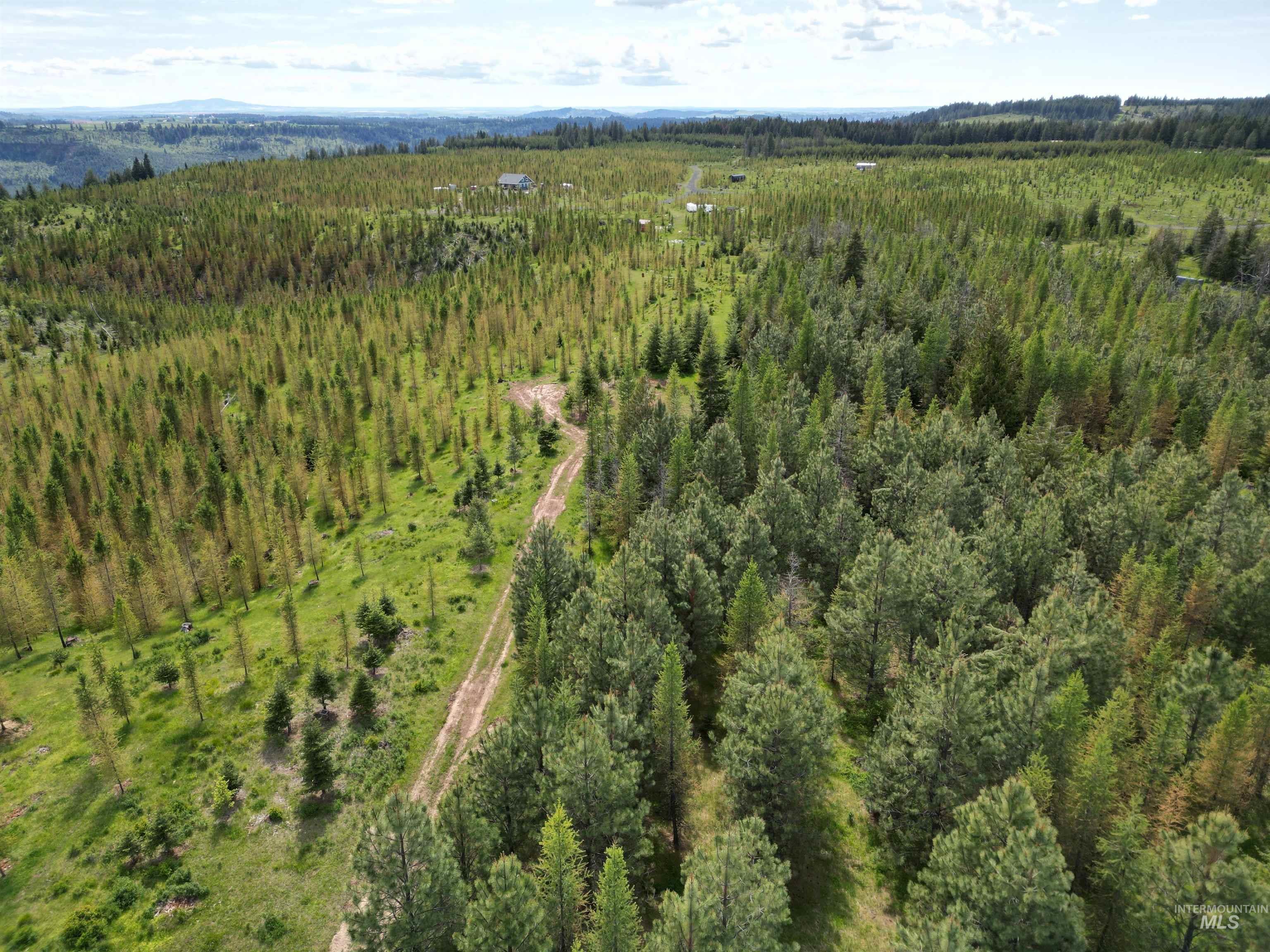 11970 Upper Fords Creek Road, Orofino, Idaho 83544, Land For Sale, Price $329,000, 98987532