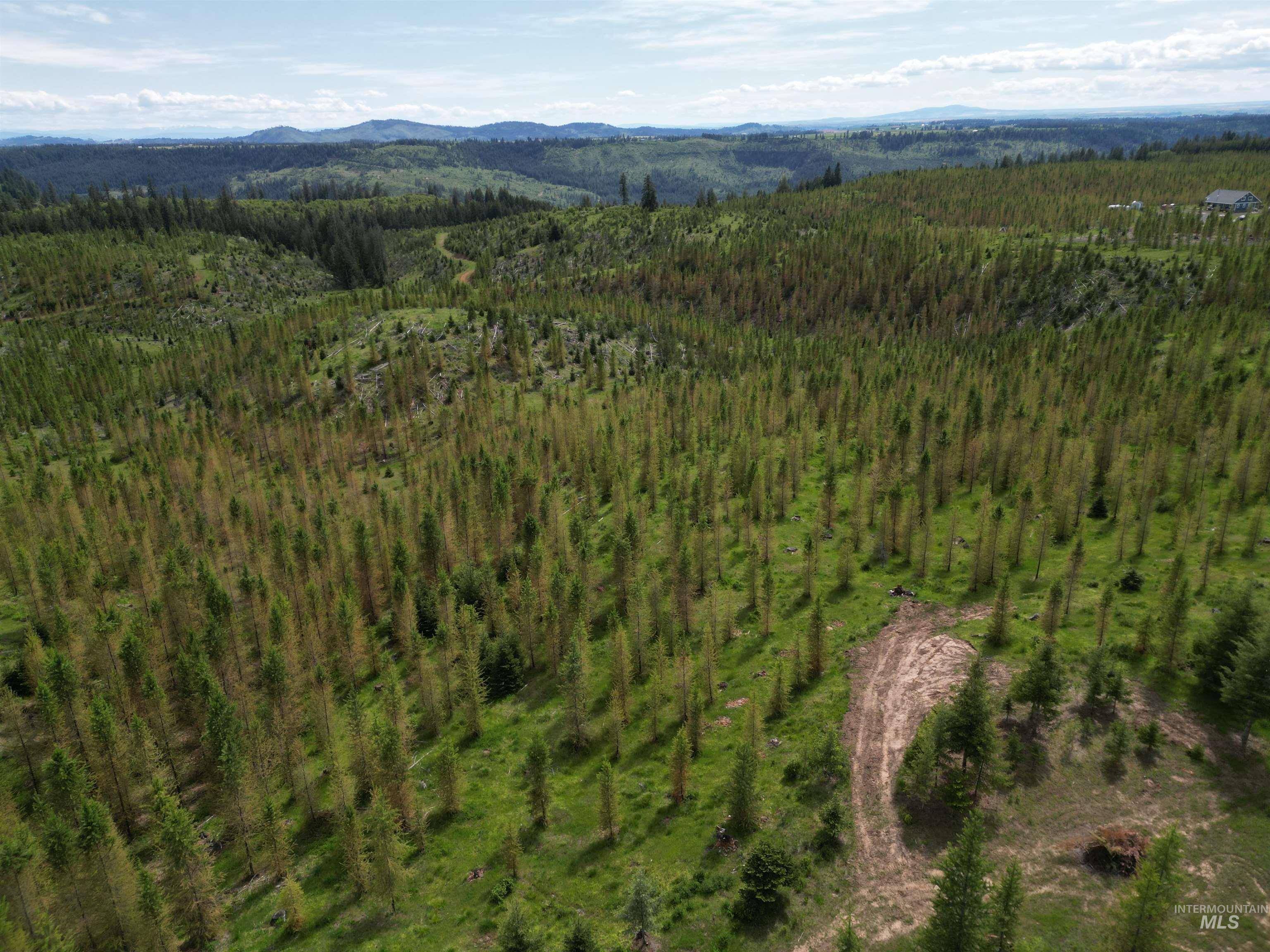 11970 Upper Fords Creek Road, Orofino, Idaho 83544, Land For Sale, Price $329,000, 98987532