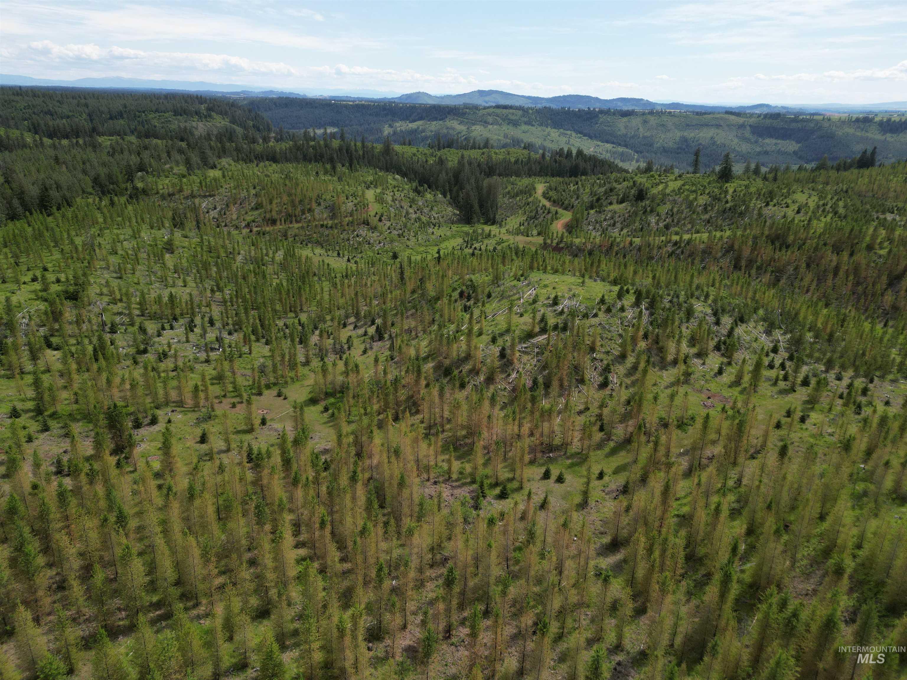 11970 Upper Fords Creek Road, Orofino, Idaho 83544, Land For Sale, Price $329,000, 98987532