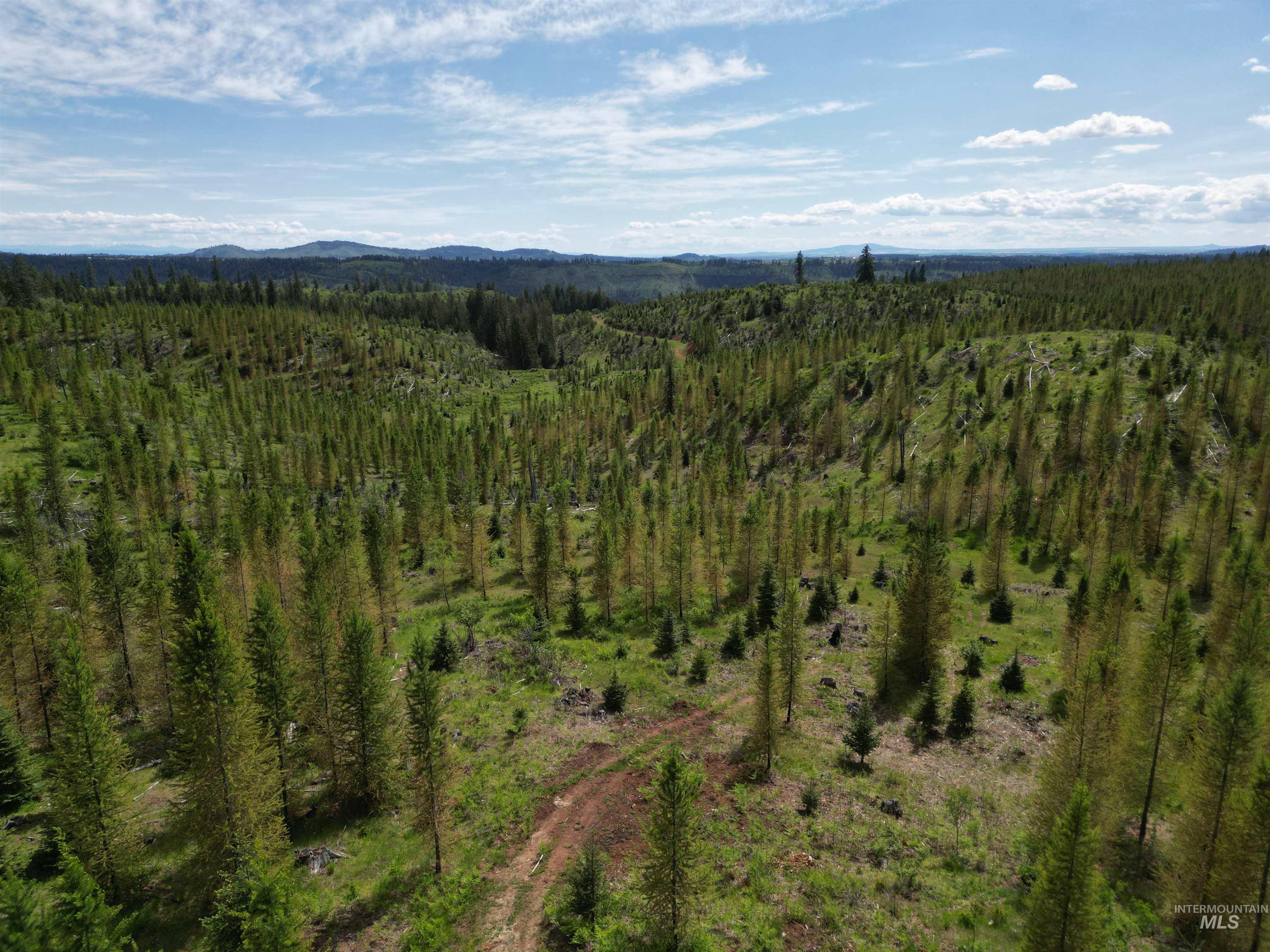 11970 Upper Fords Creek Road, Orofino, Idaho 83544, Land For Sale, Price $329,000, 98987532